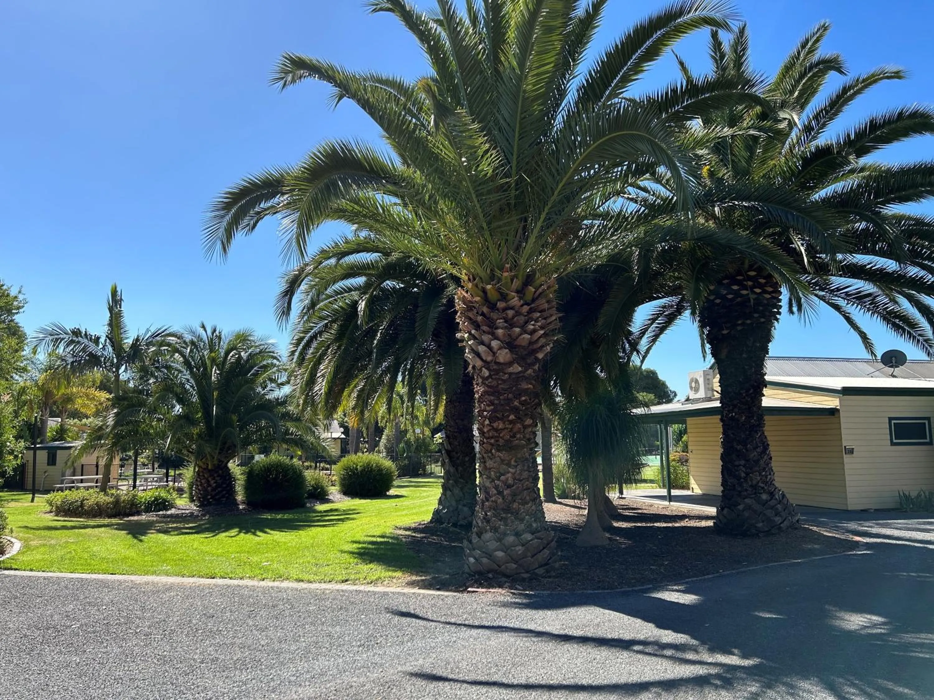 Day in Murray River Resort