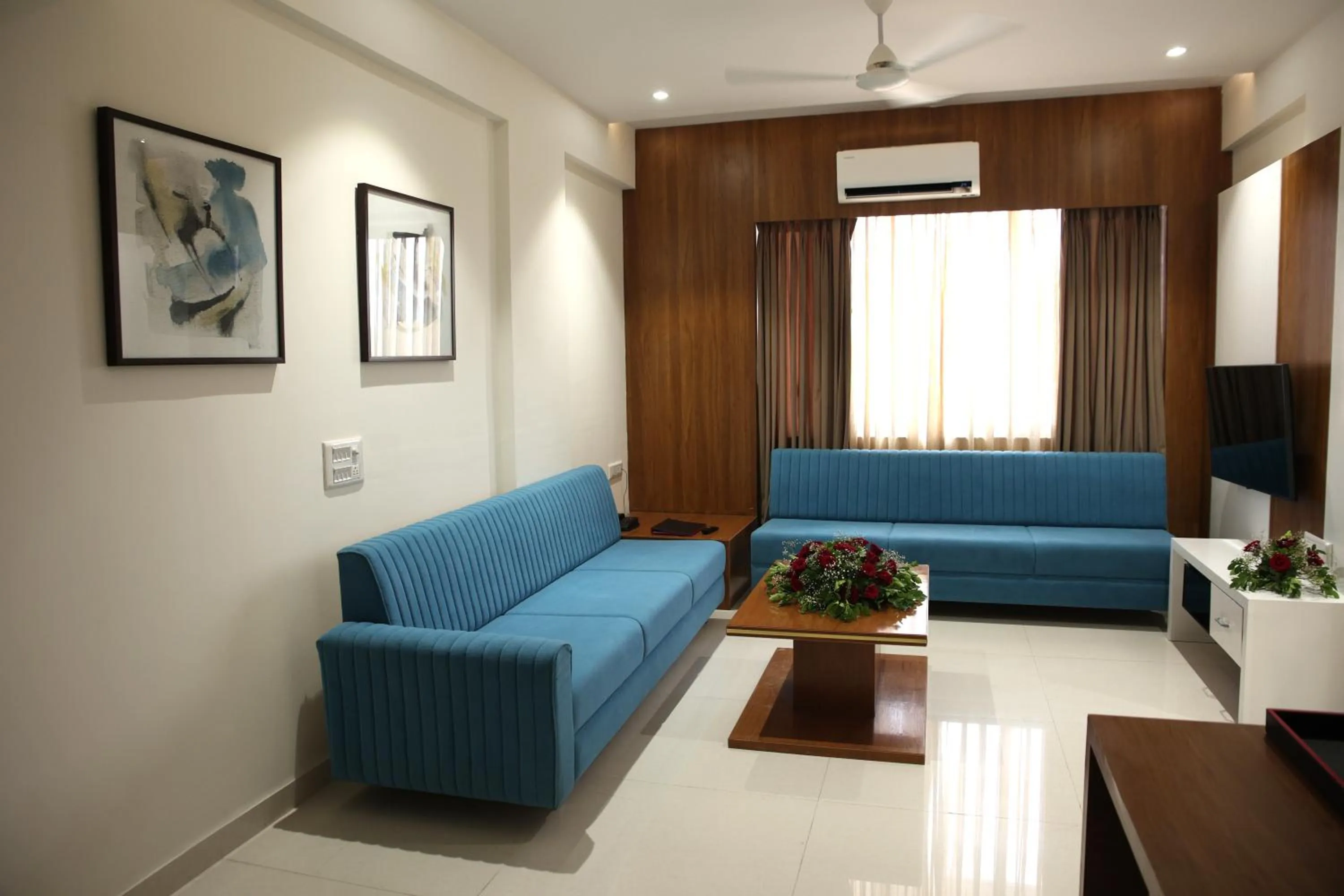 TV and multimedia in Lords Eco Inn, Ambaji