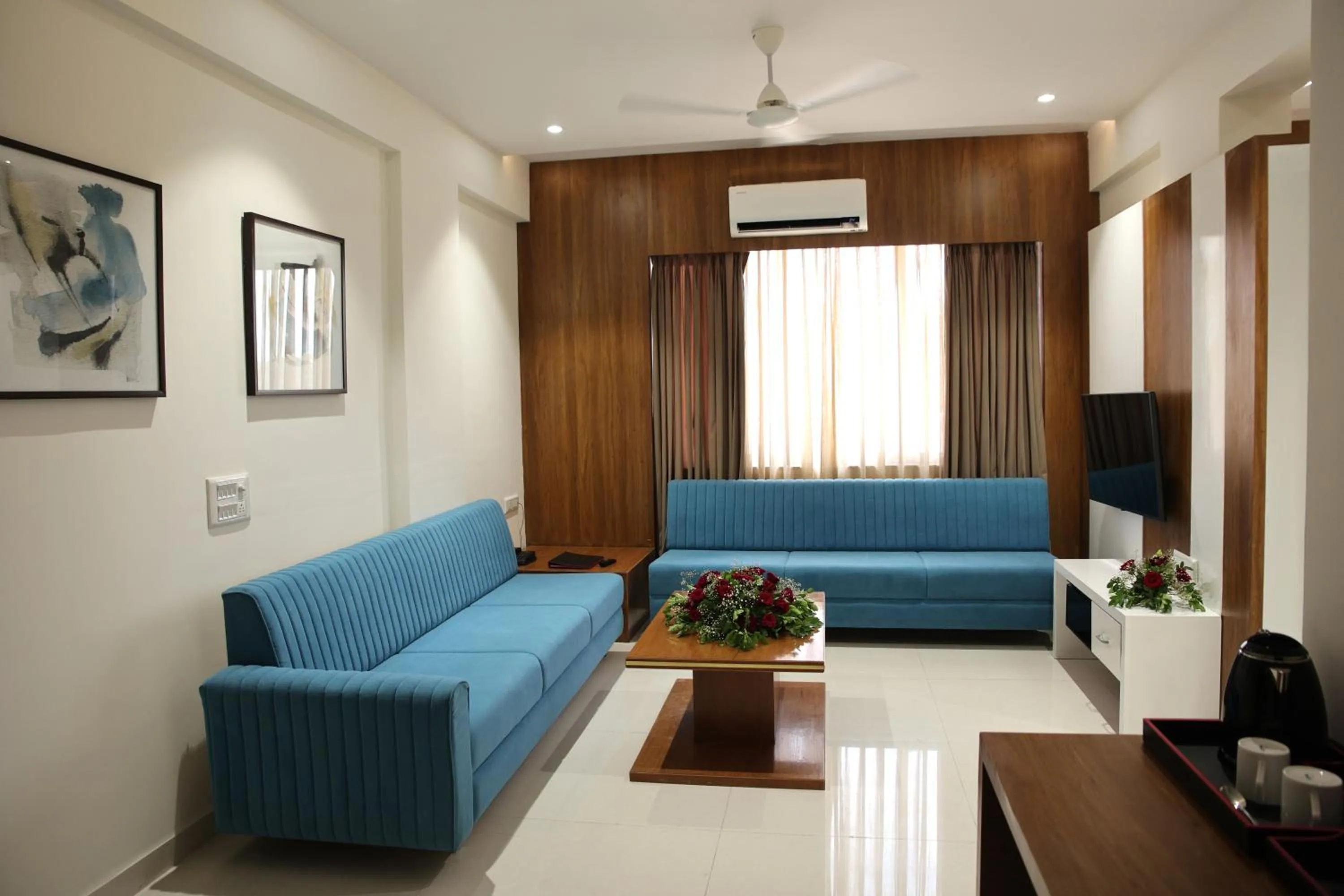 TV and multimedia in Lords Eco Inn, Ambaji