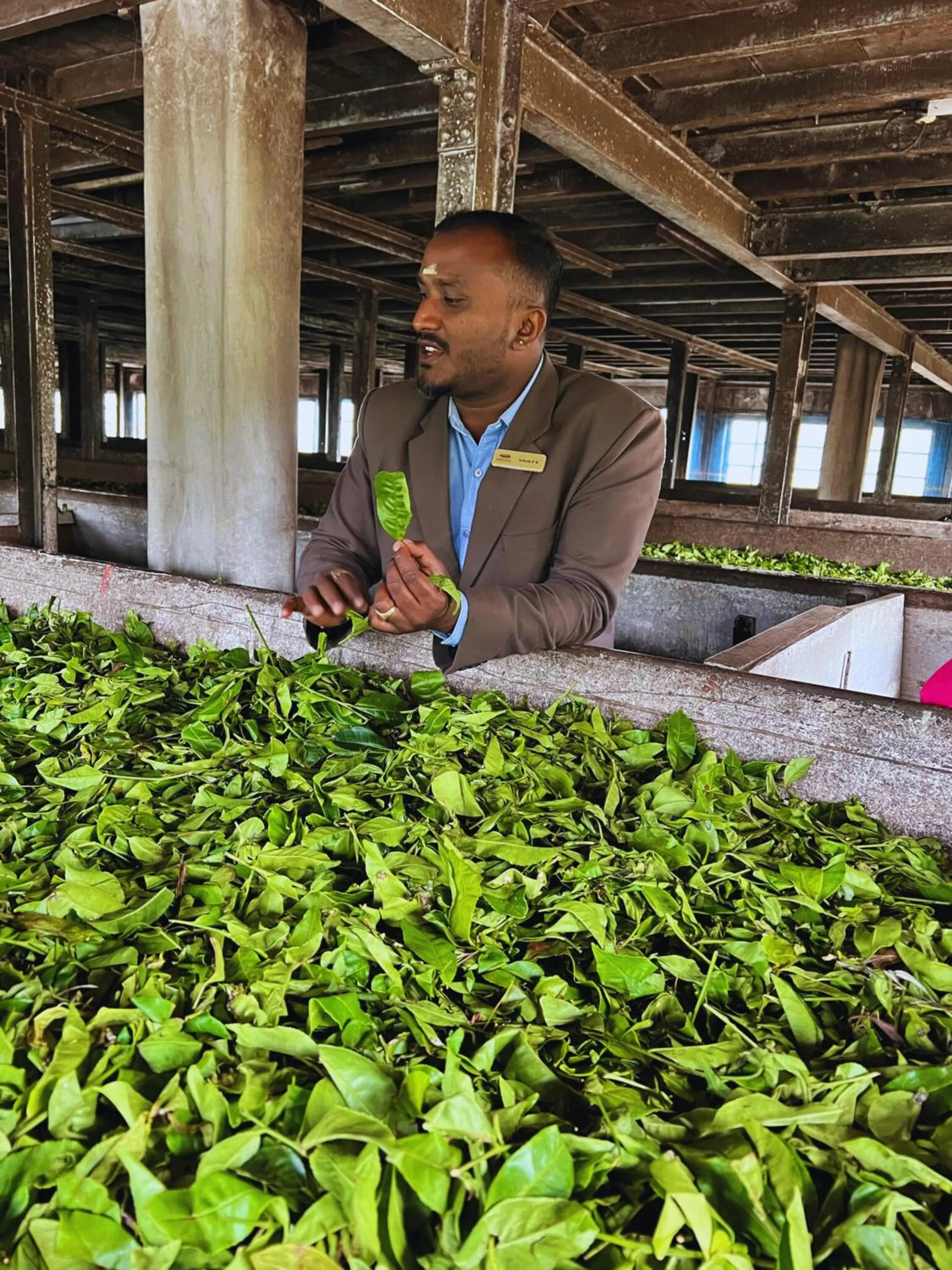 Day in Lockhart Bungalow Munnar - A CGH Earth SAHA Experience