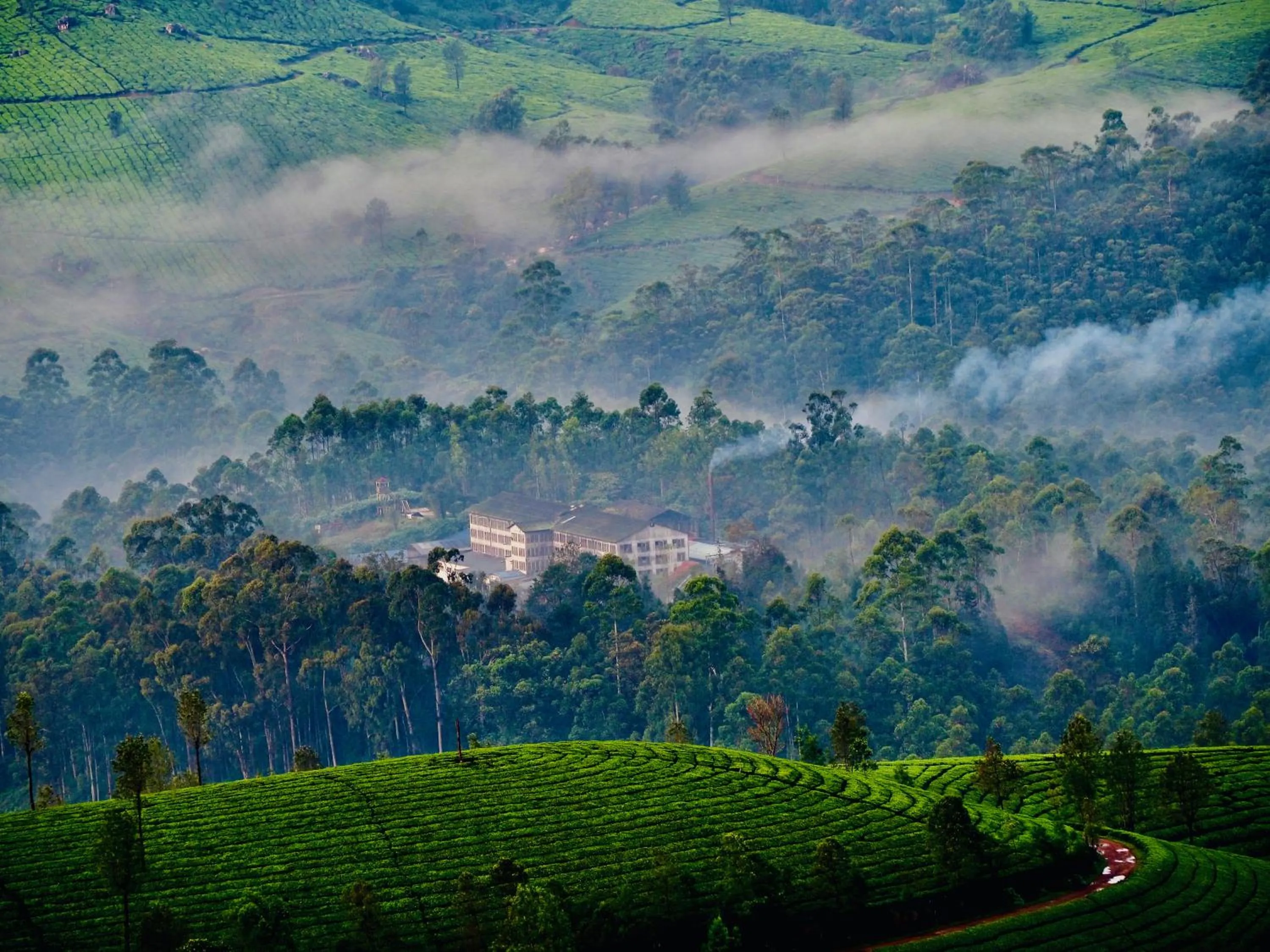 Day in Lockhart Bungalow Munnar - A CGH Earth SAHA Experience