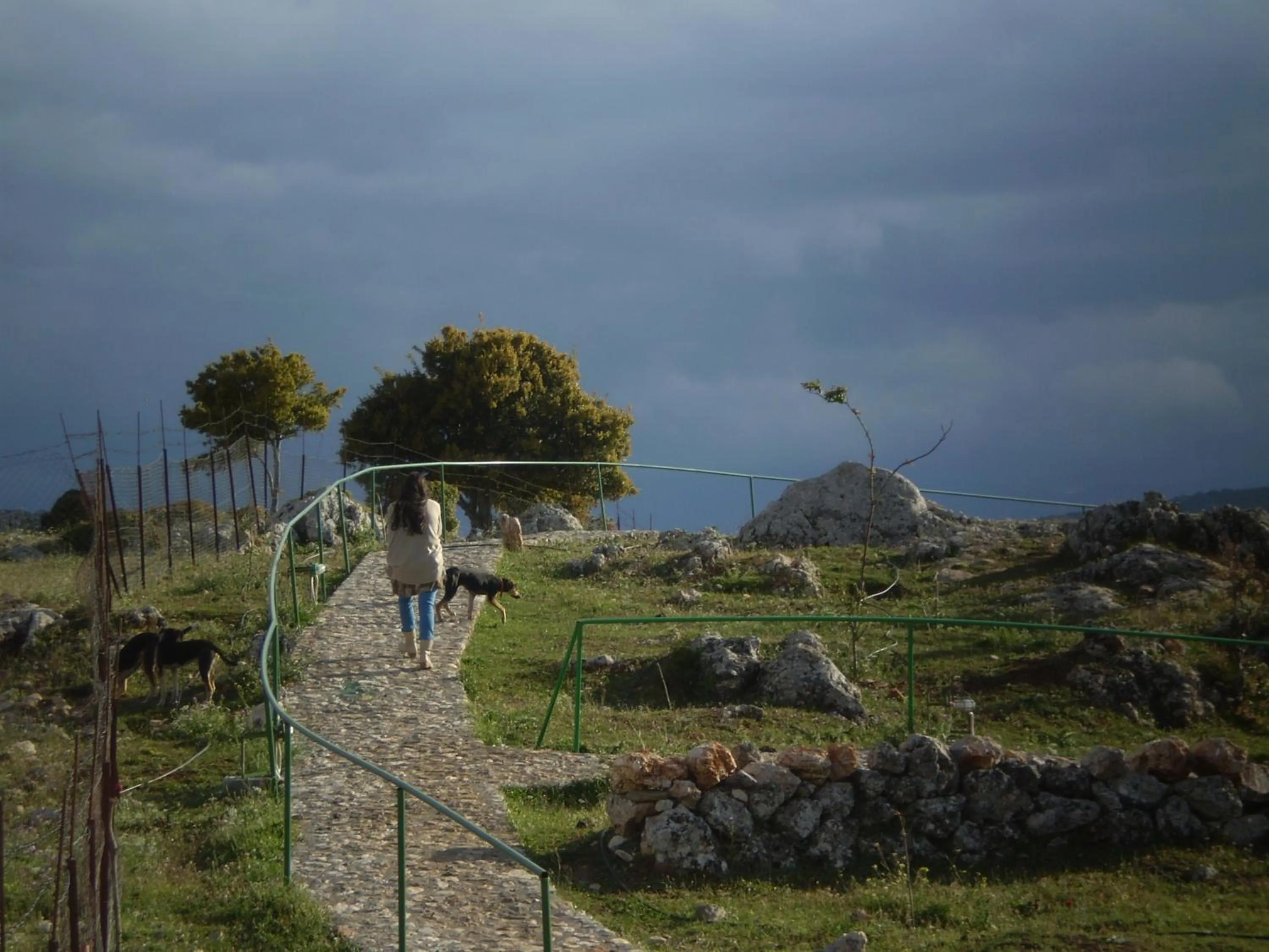 View (from property/room) in Arachovitika Kalivia