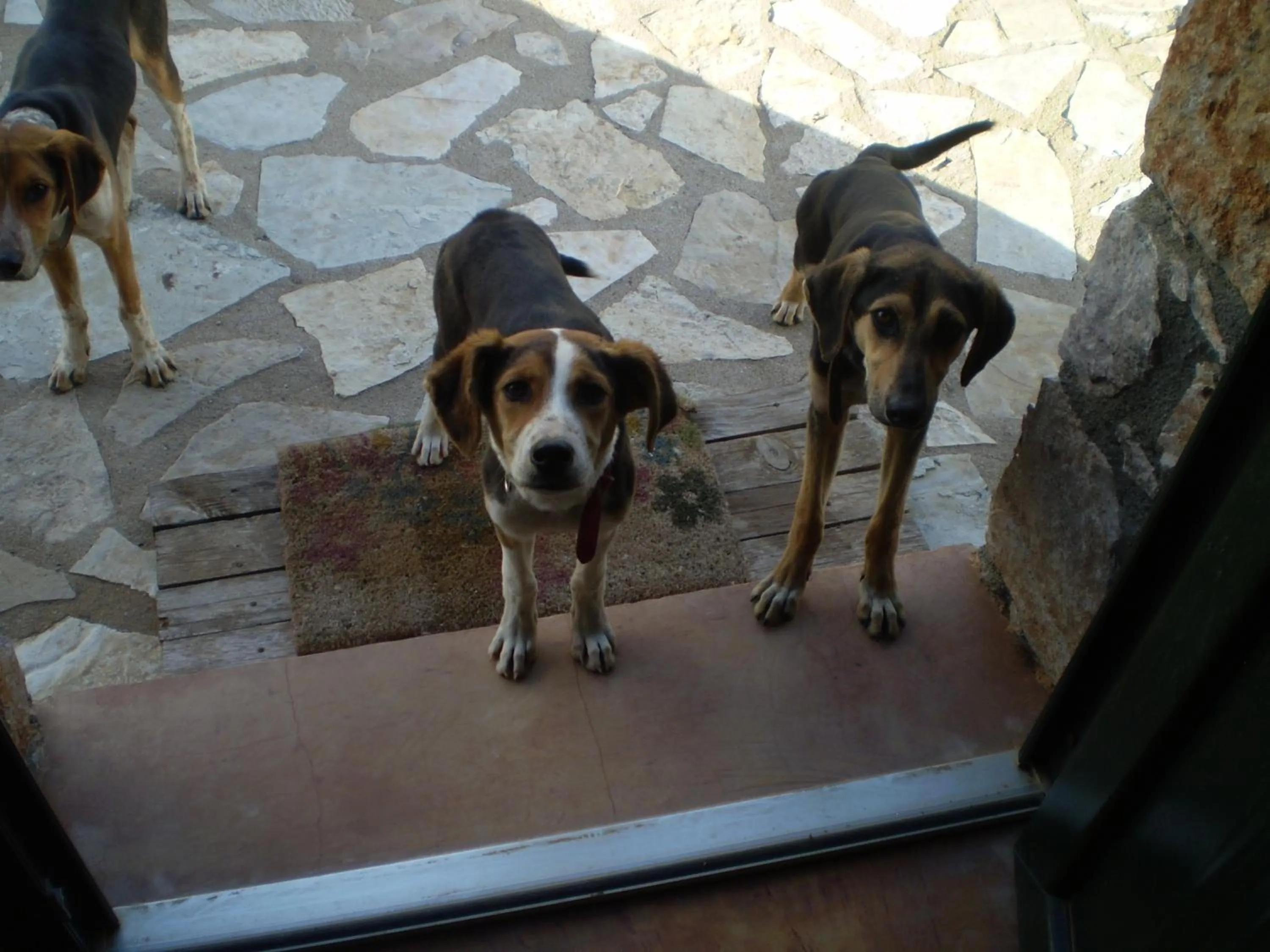 Other in Arachovitika Kalivia