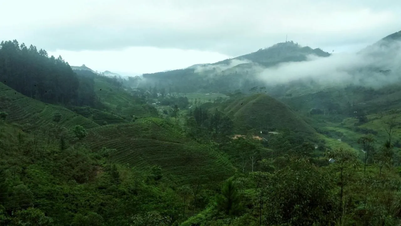 Lassana Holiday Bungalow