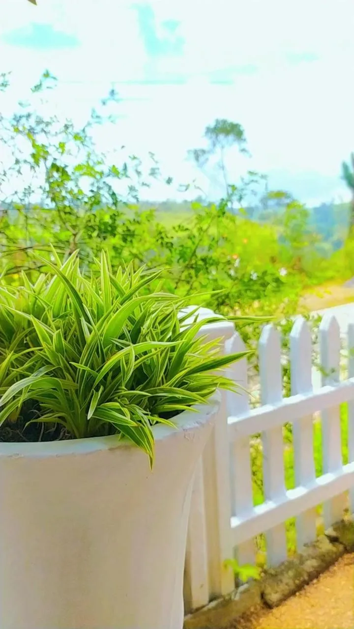 Garden in Lassana Holiday Bungalow