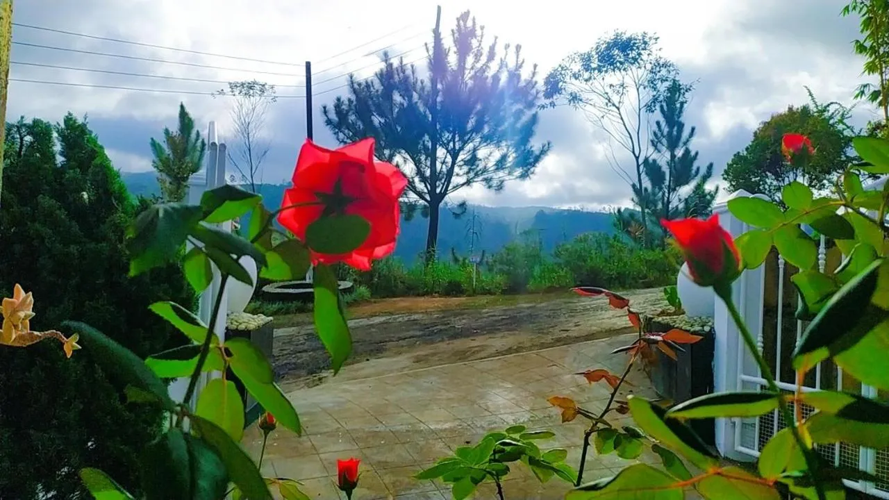 Facade/entrance in Lassana Holiday Bungalow