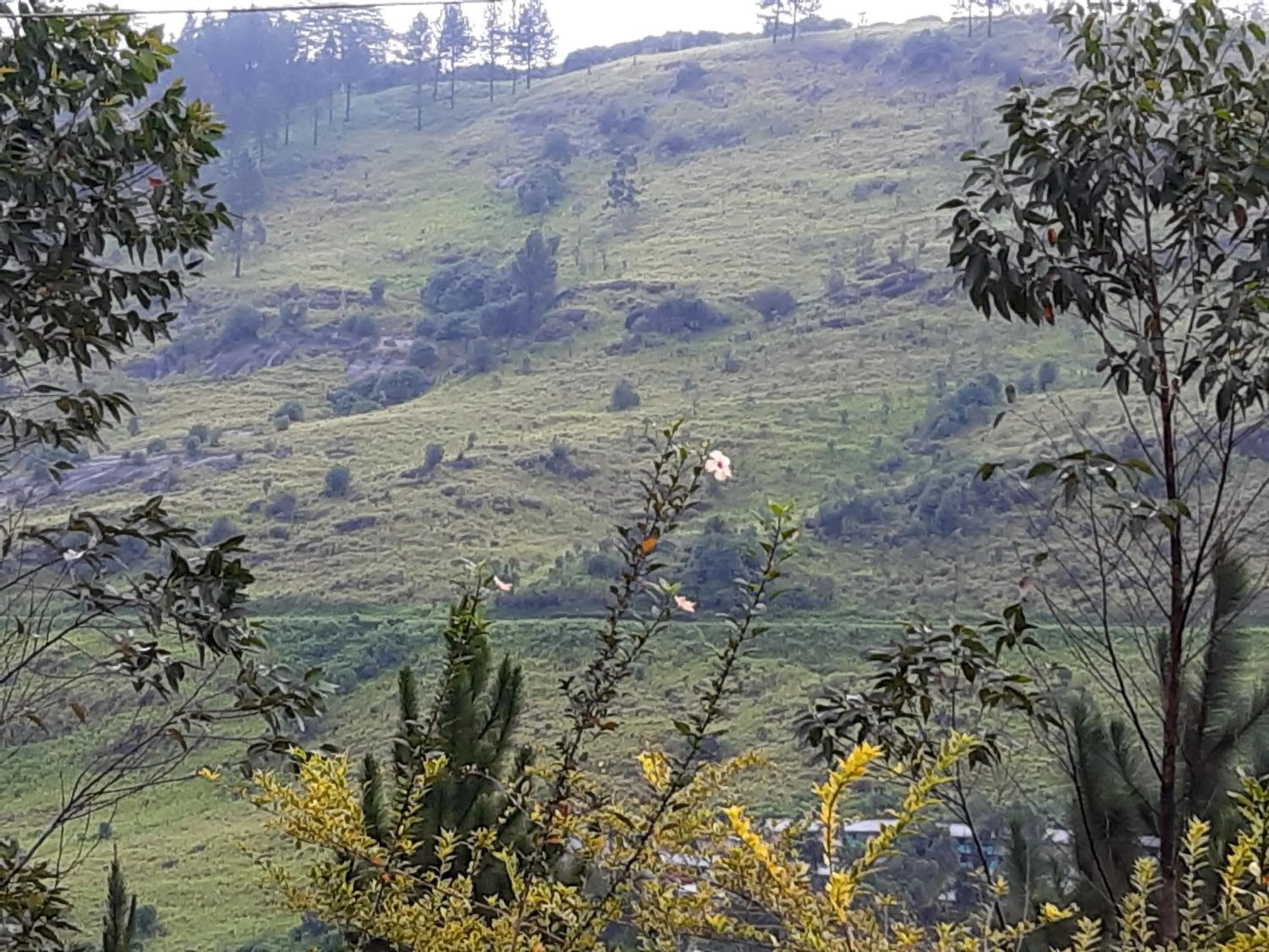 Lassana Holiday Bungalow