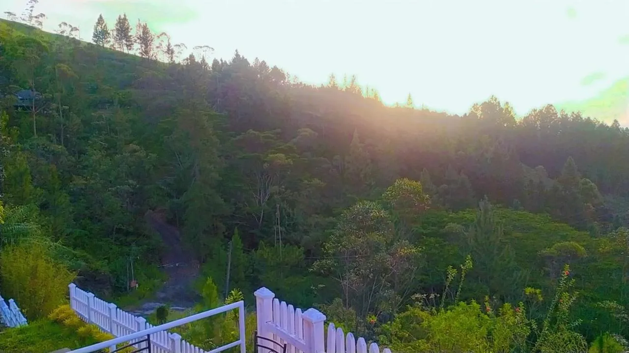 Lassana Holiday Bungalow