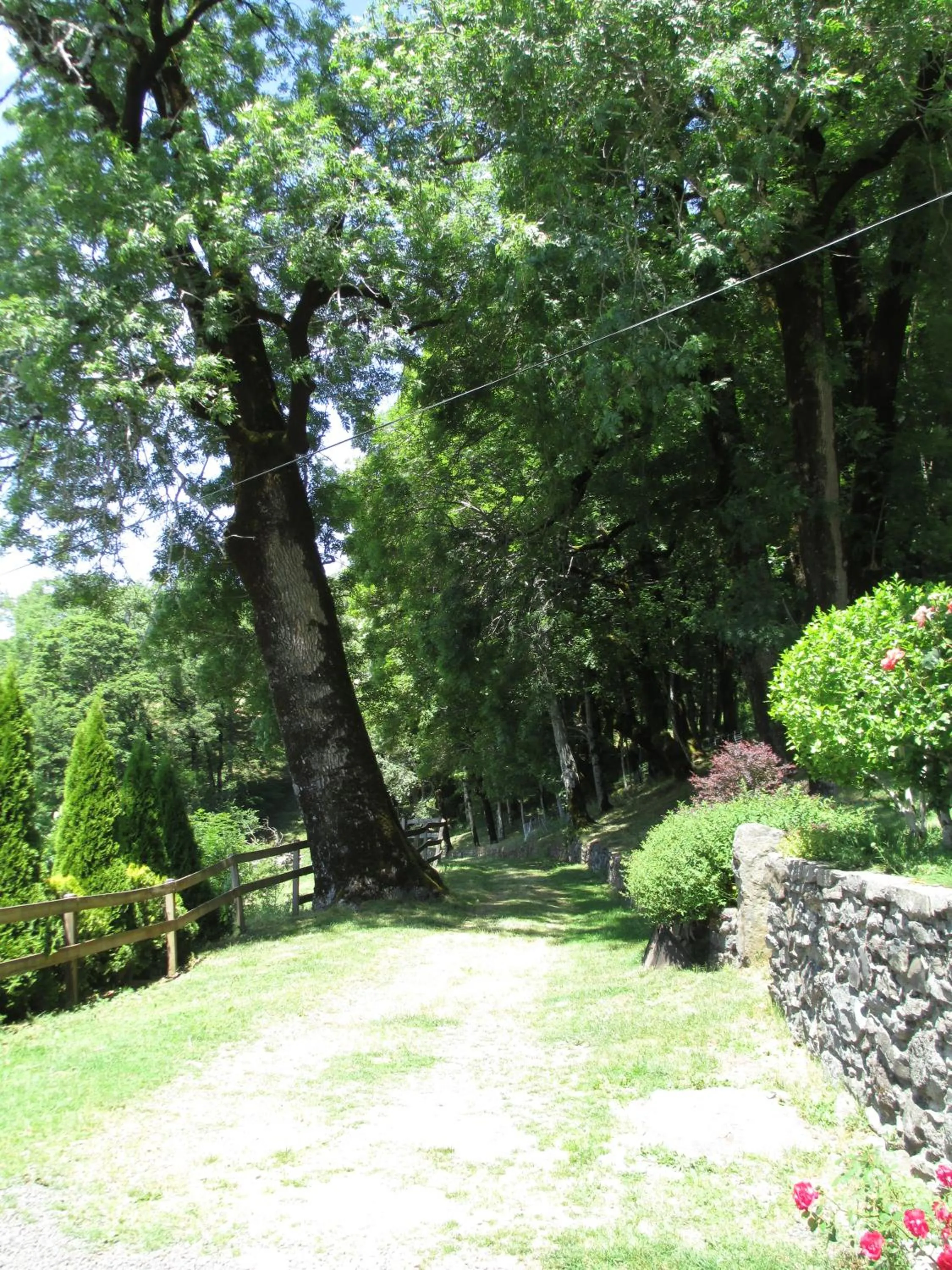 Facade/entrance in Château du Puech