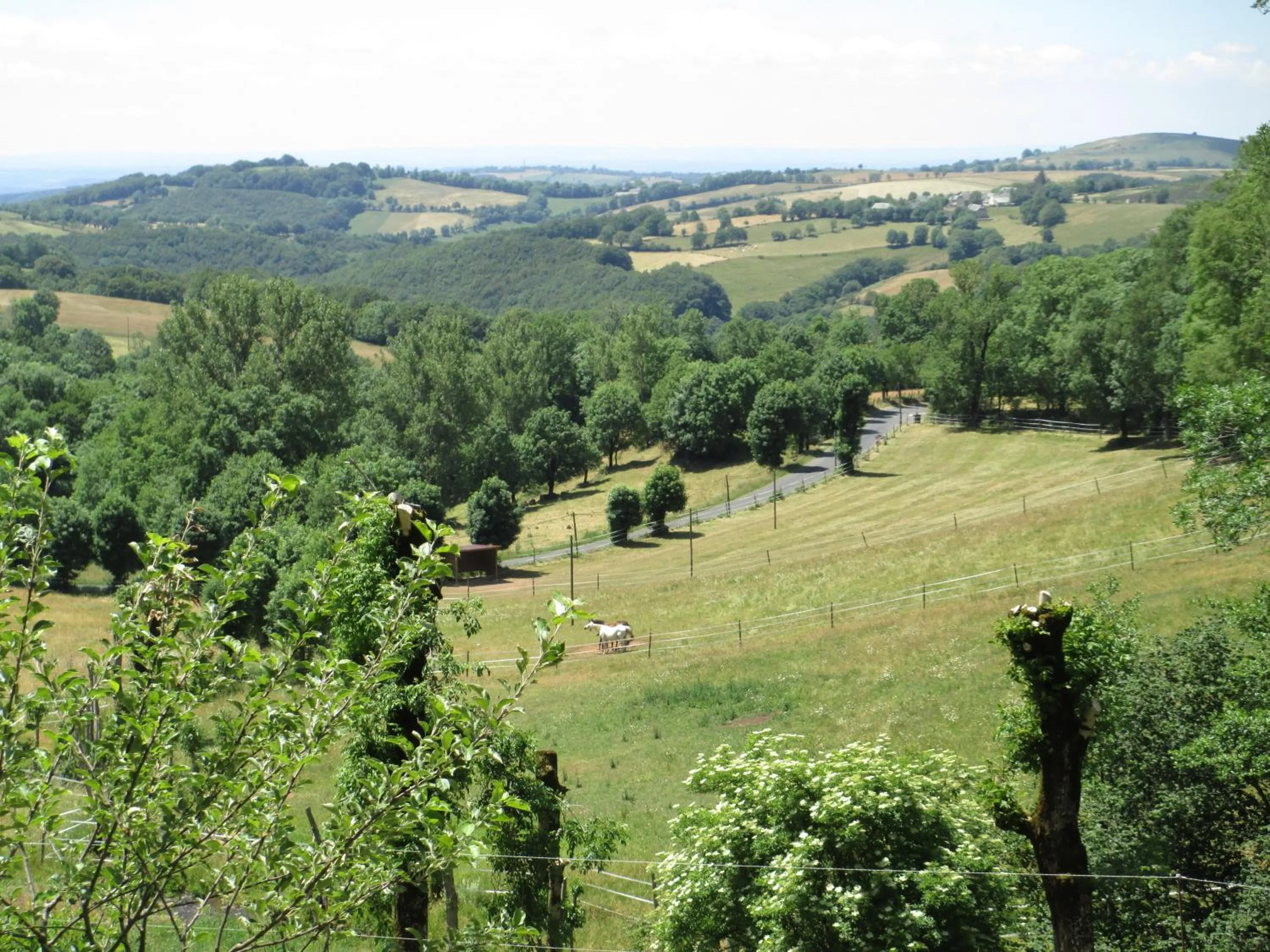 View (from property/room) in Château du Puech