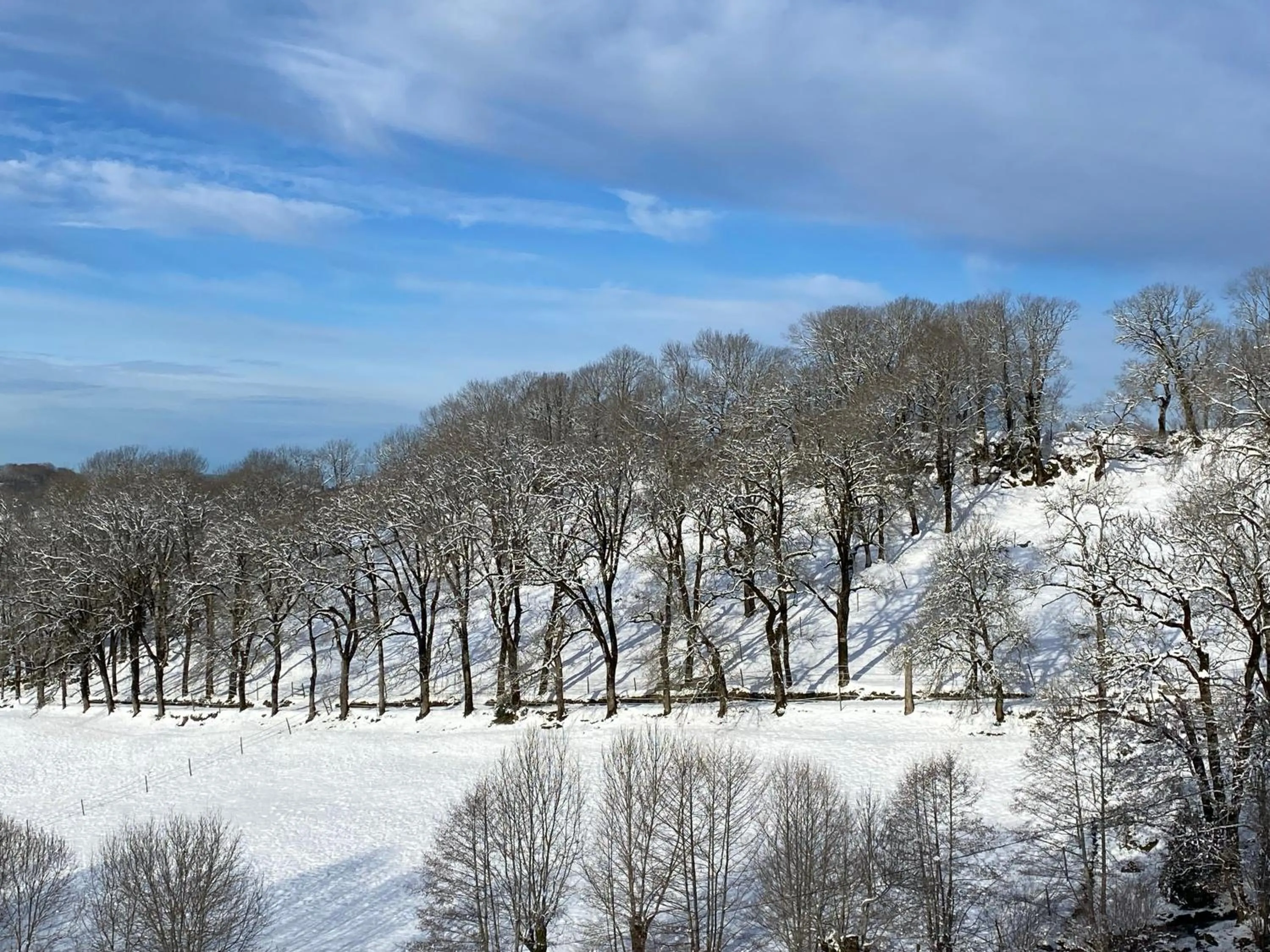 Château du Puech en Aubrac