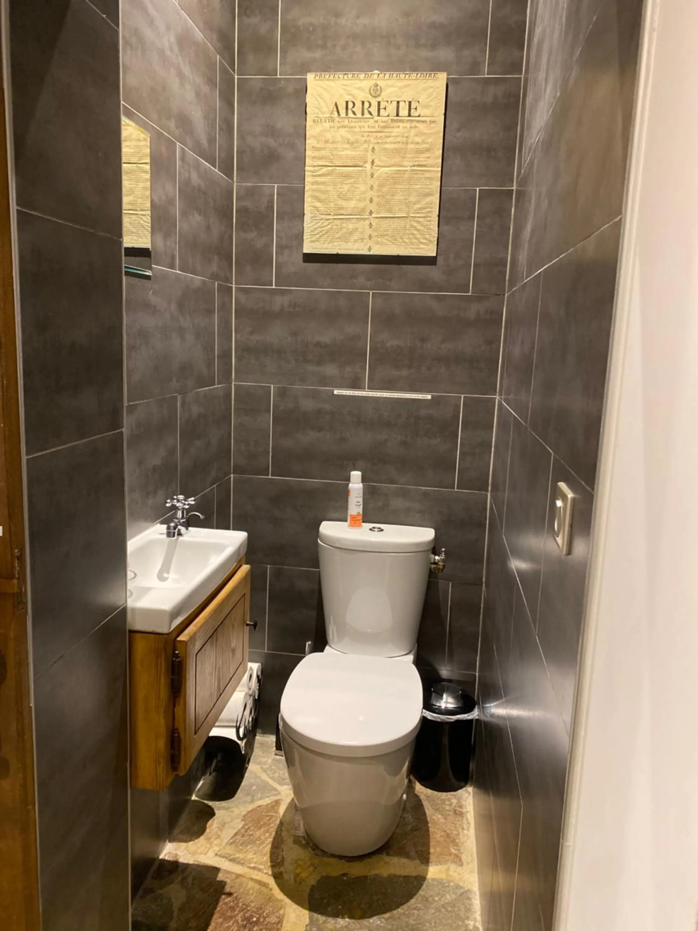 Toilet in Château du Puech