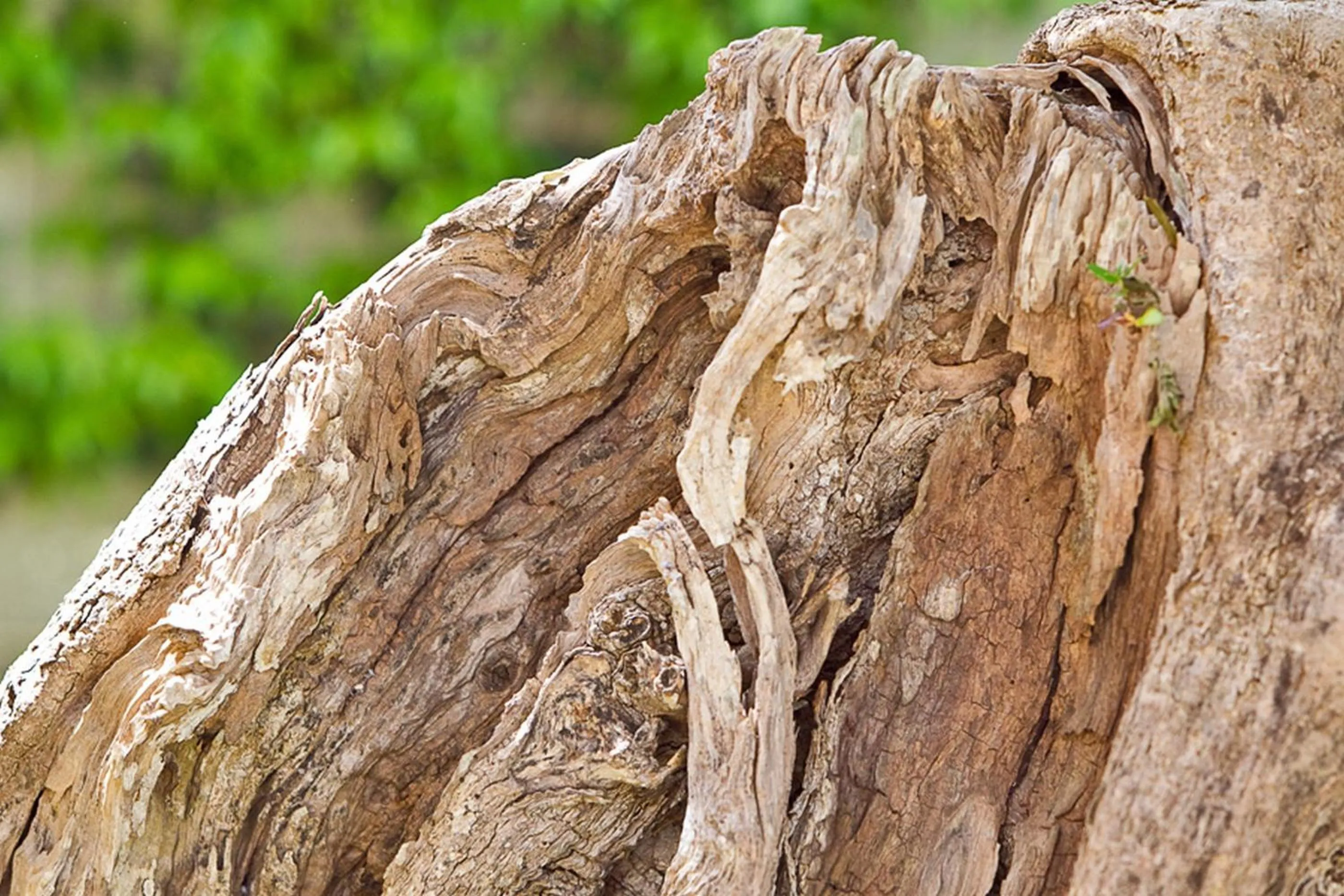 Natural landscape in B&B QuattroStelle