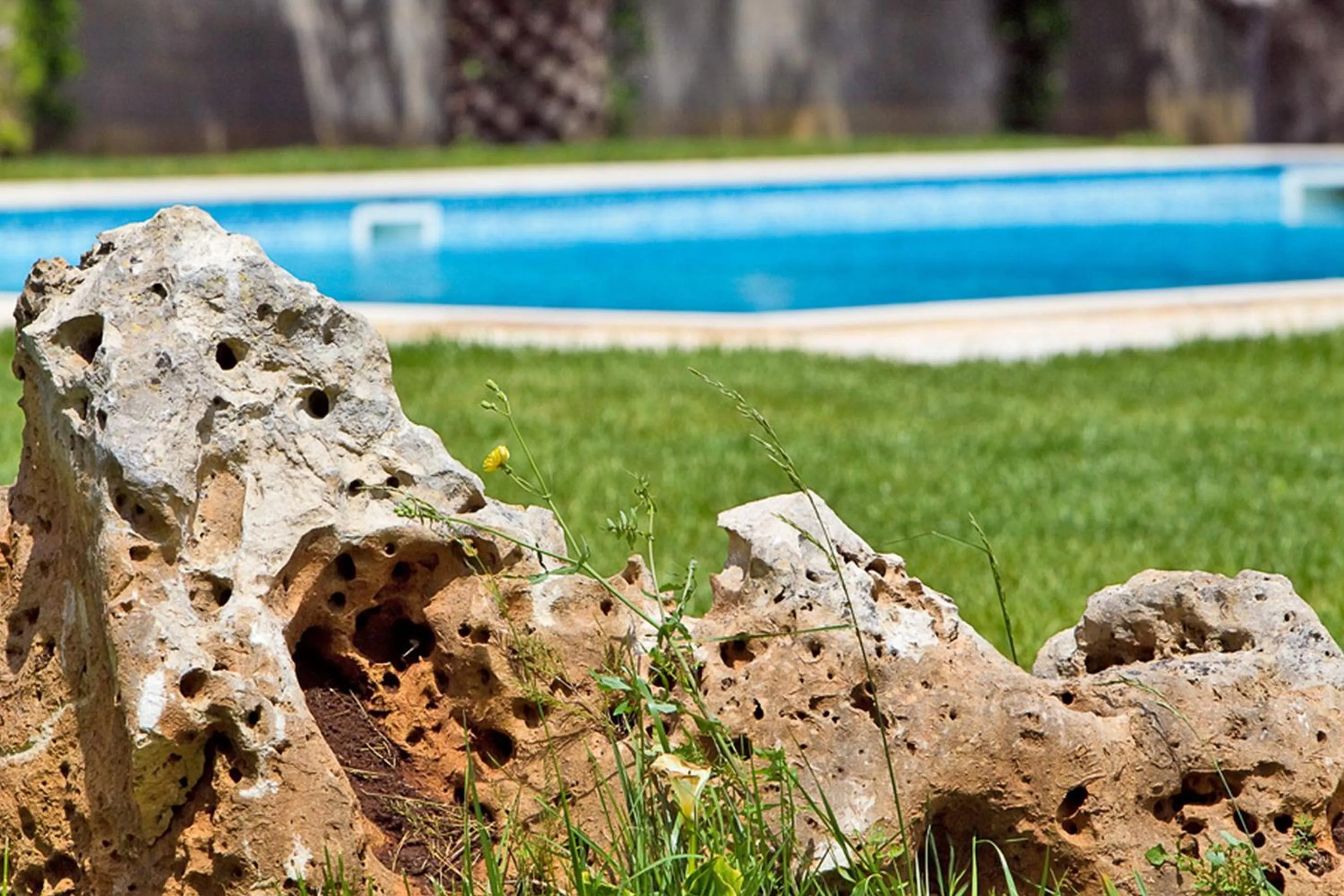 Swimming pool in B&B QuattroStelle