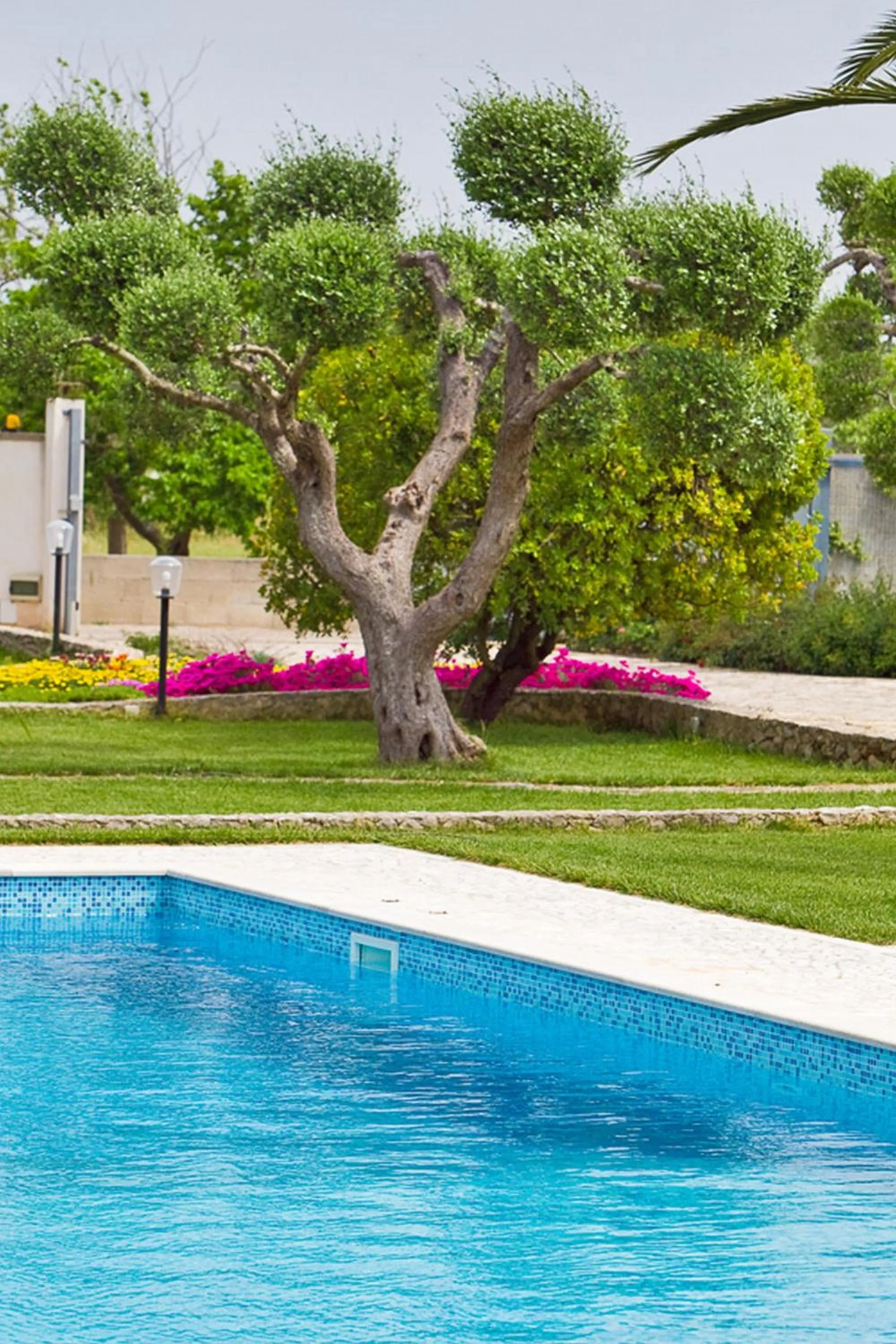 Swimming pool in B&B QuattroStelle