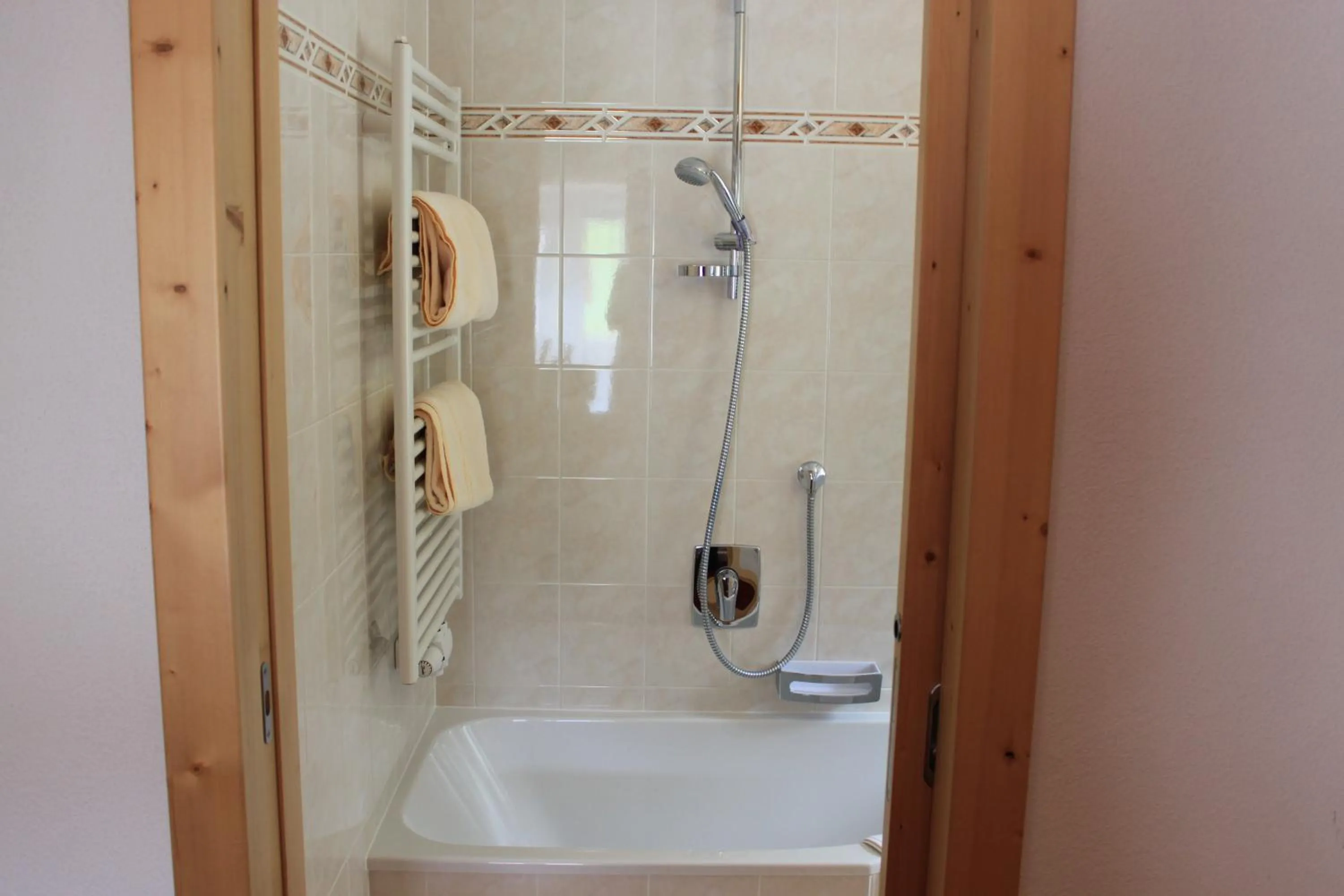 Shower in Albergo Alisander