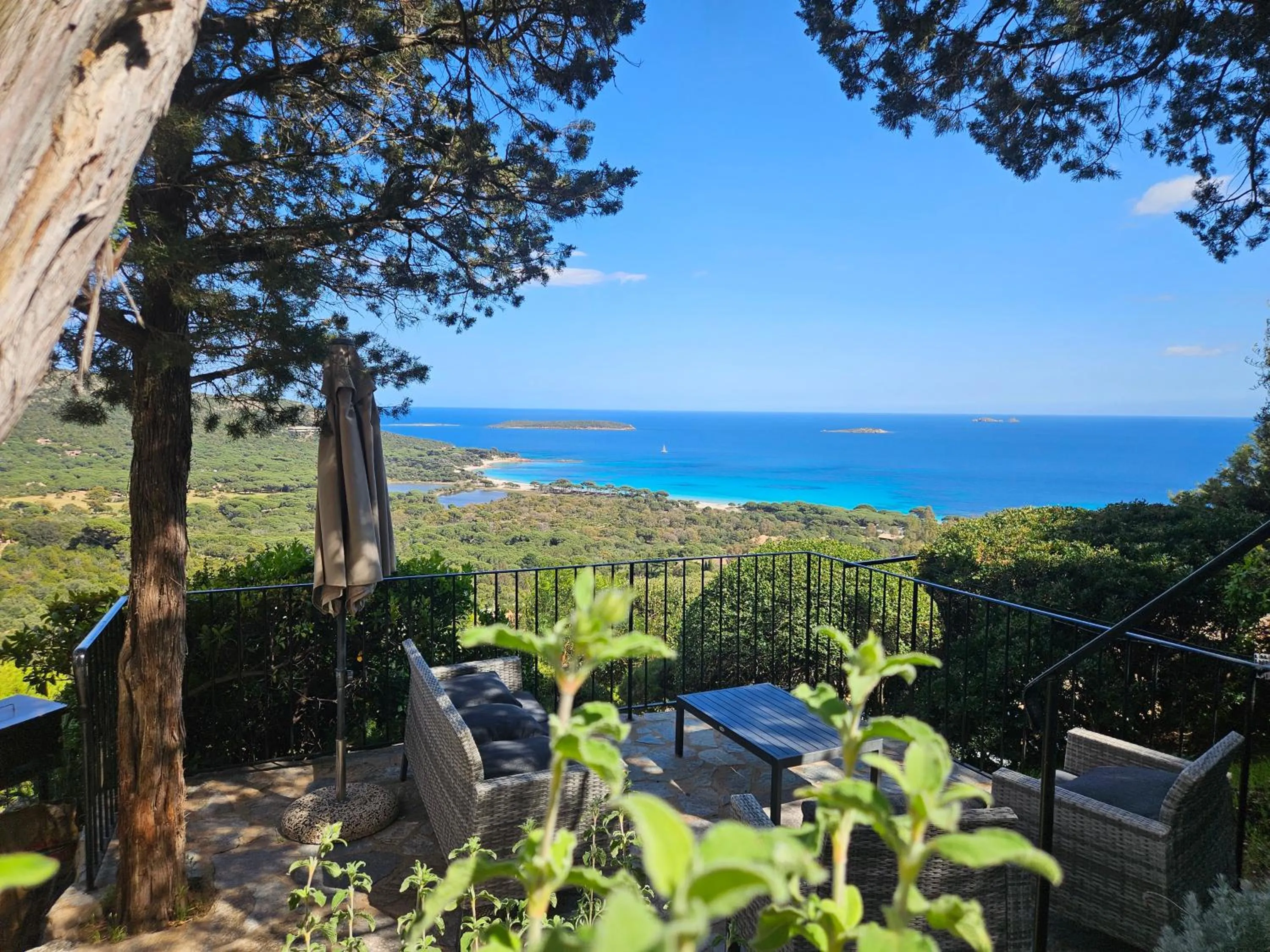 Balcony/Terrace in Résidence Belvedere de Palombaggia