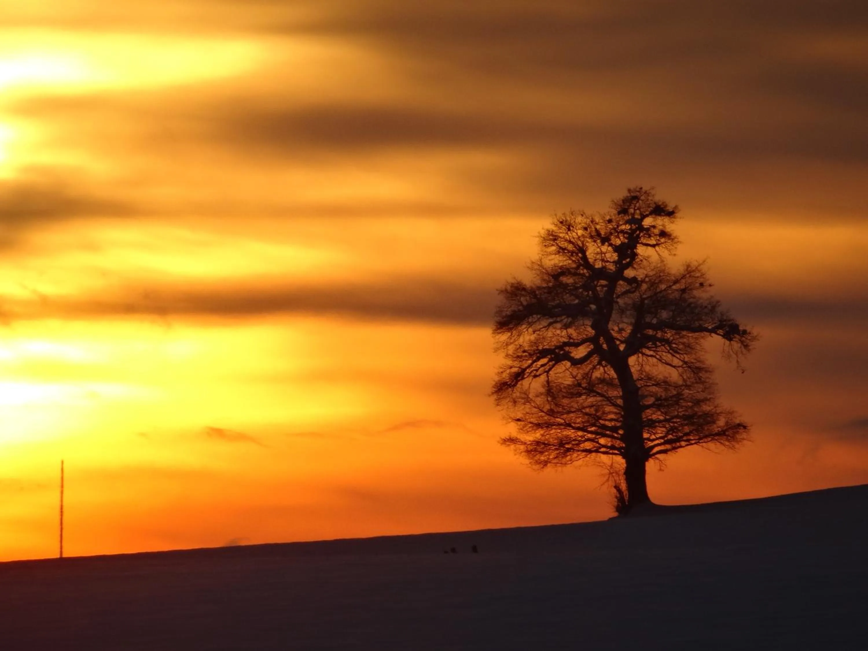 Natural landscape in Gemeinschaftshaus im Oberdorf