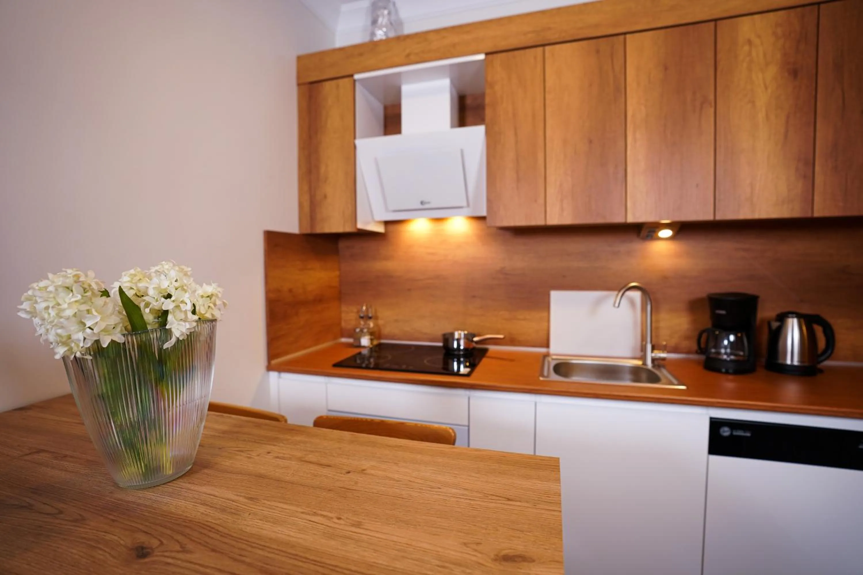 kitchen in Merkuri apartments