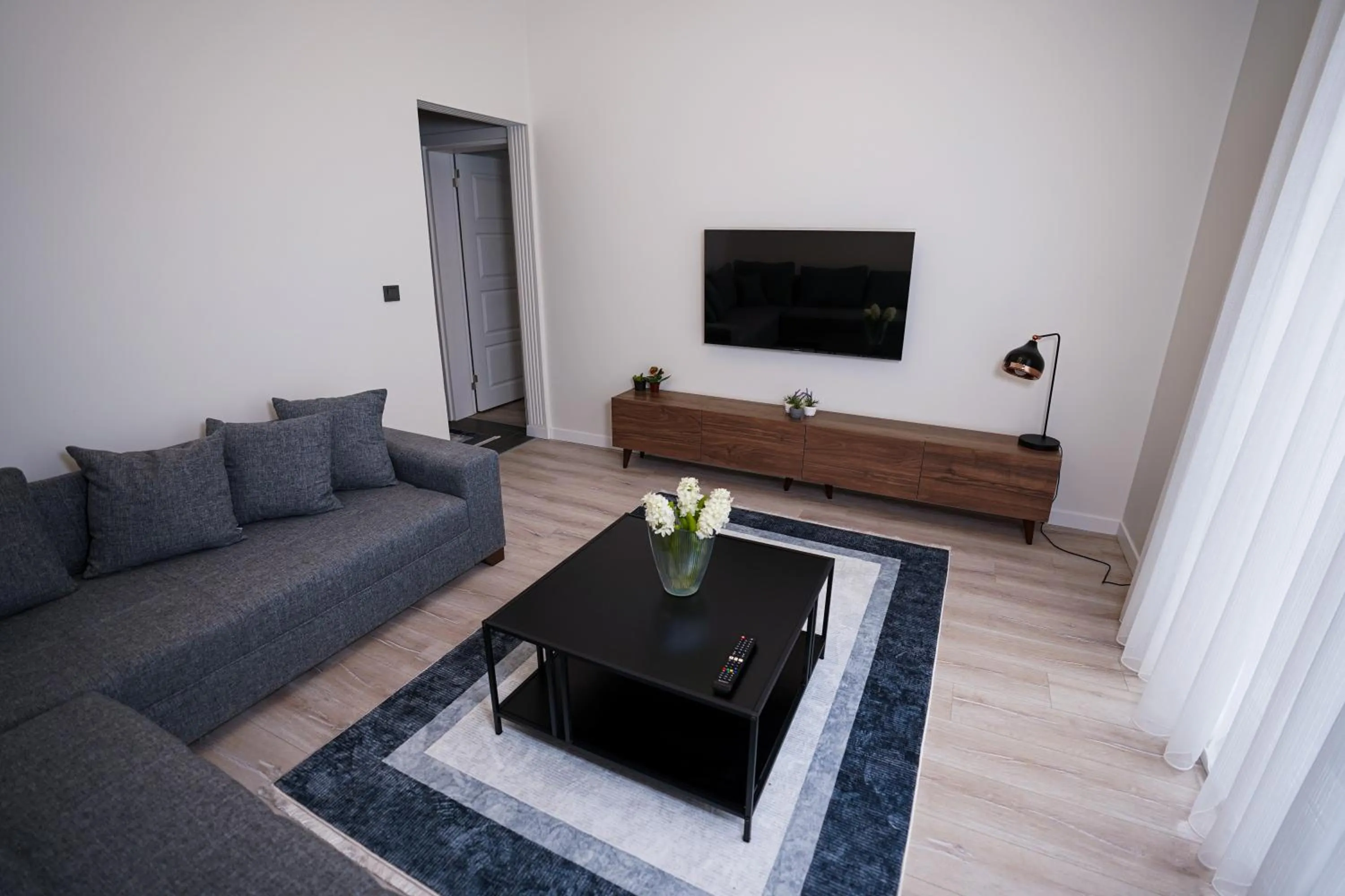 TV and multimedia in Merkuri apartments