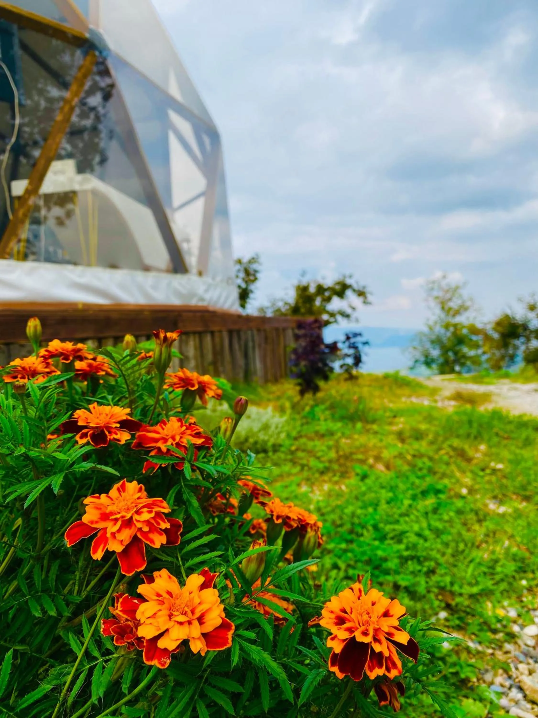 Phalesia Glamping Otel