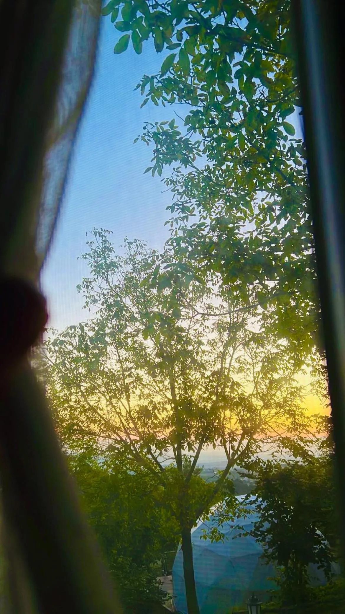 Phalesia Glamping Otel