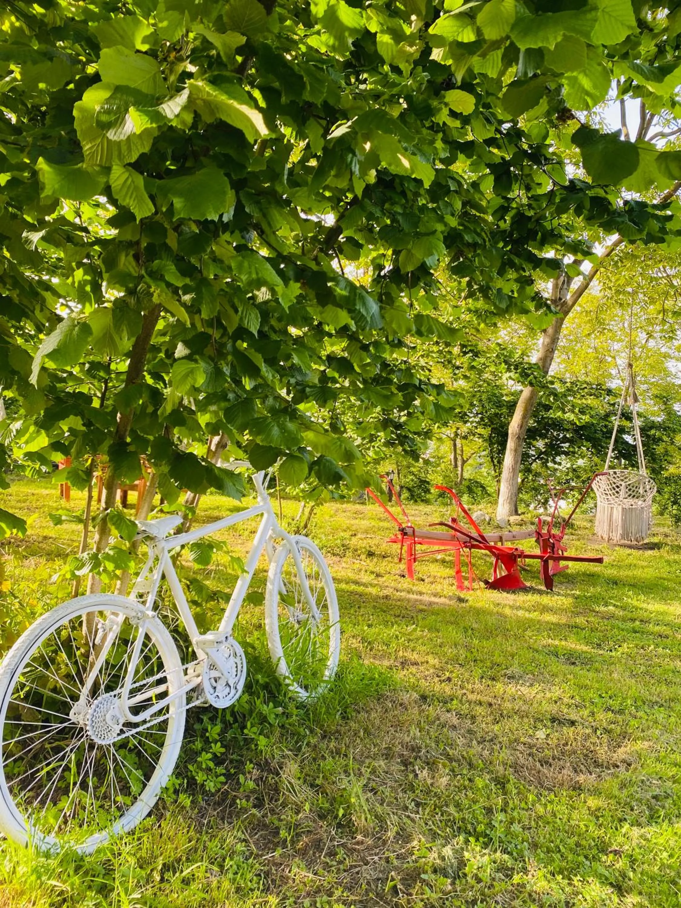 Phalesia Glamping Otel