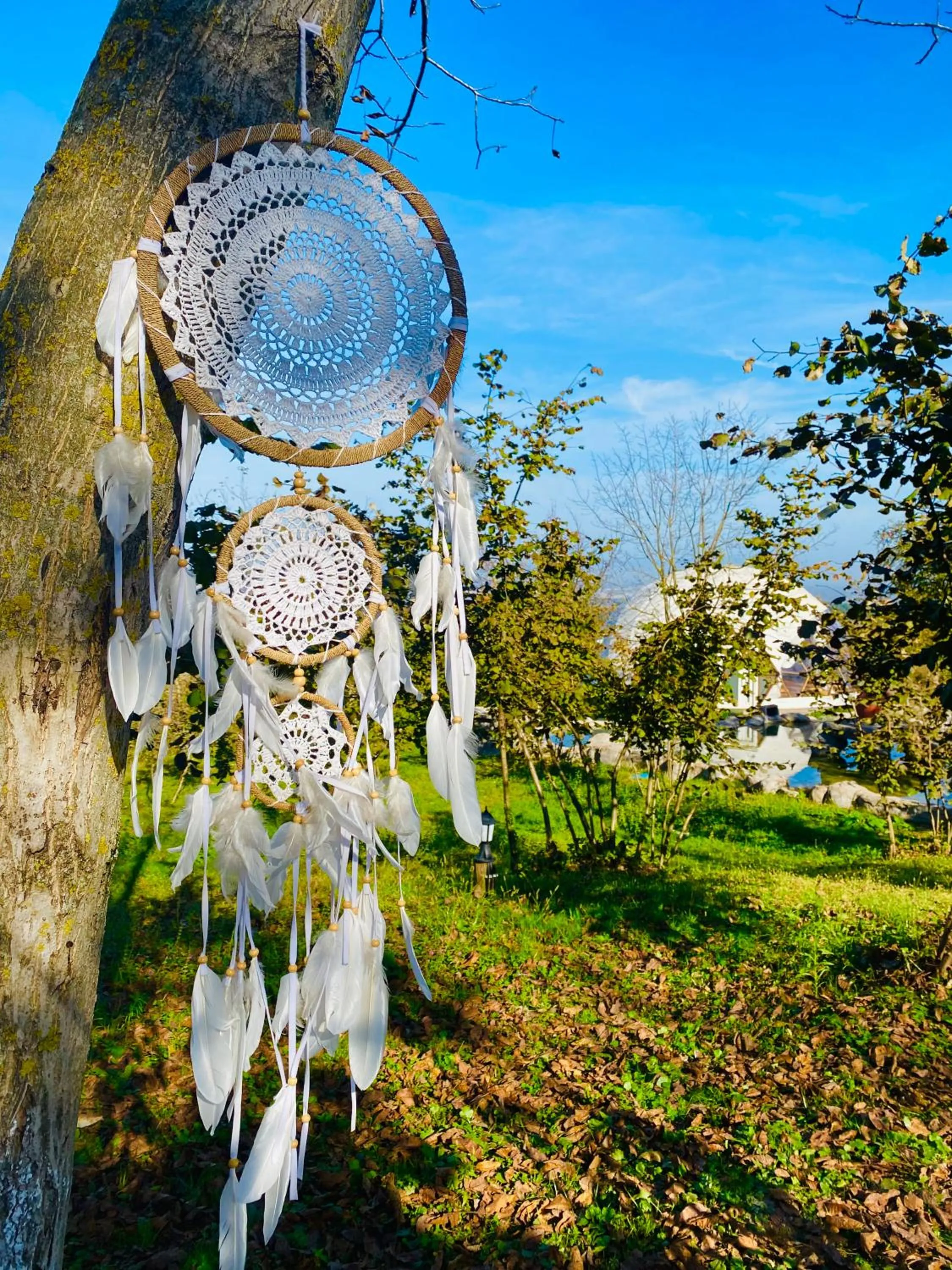 Phalesia Glamping Otel