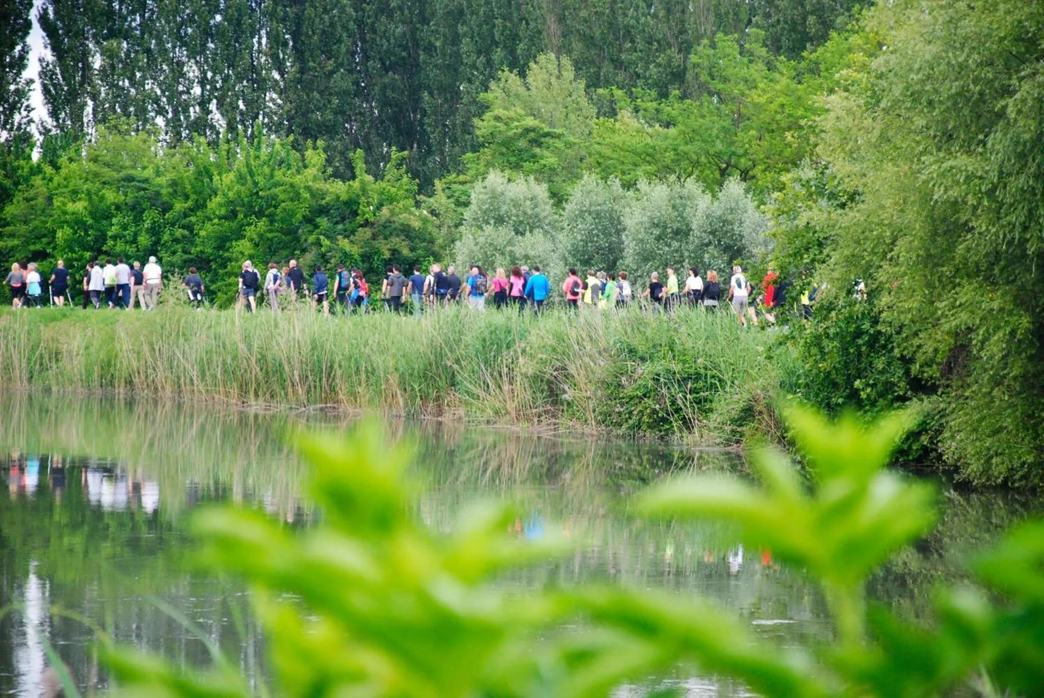Sports in Laguna B&B