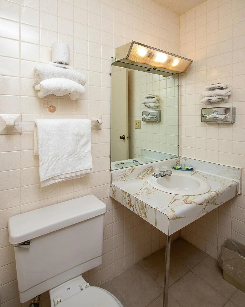 Bathroom in Country Squire inn and suites