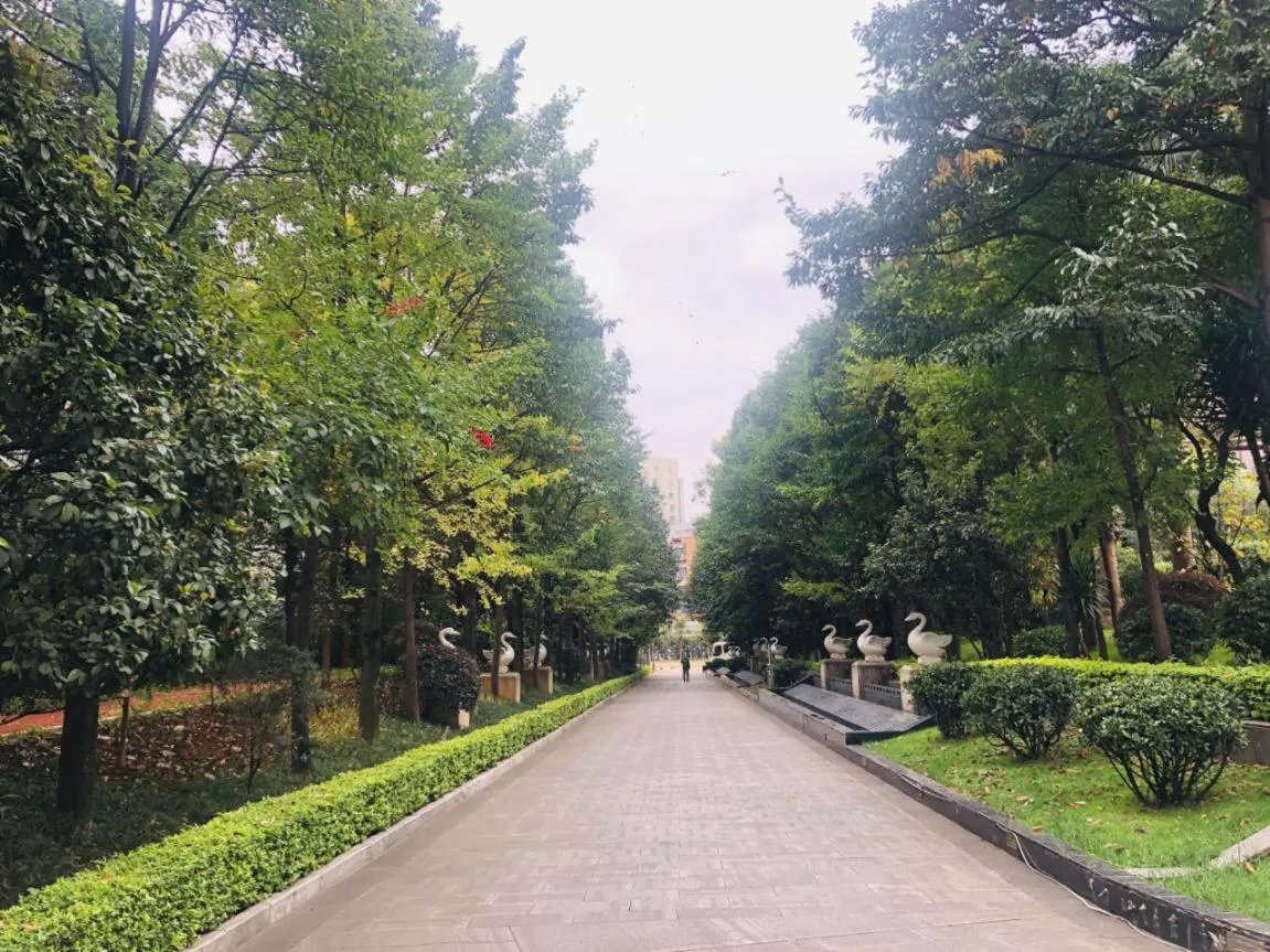 Garden in Kunming Haitian Hotel
