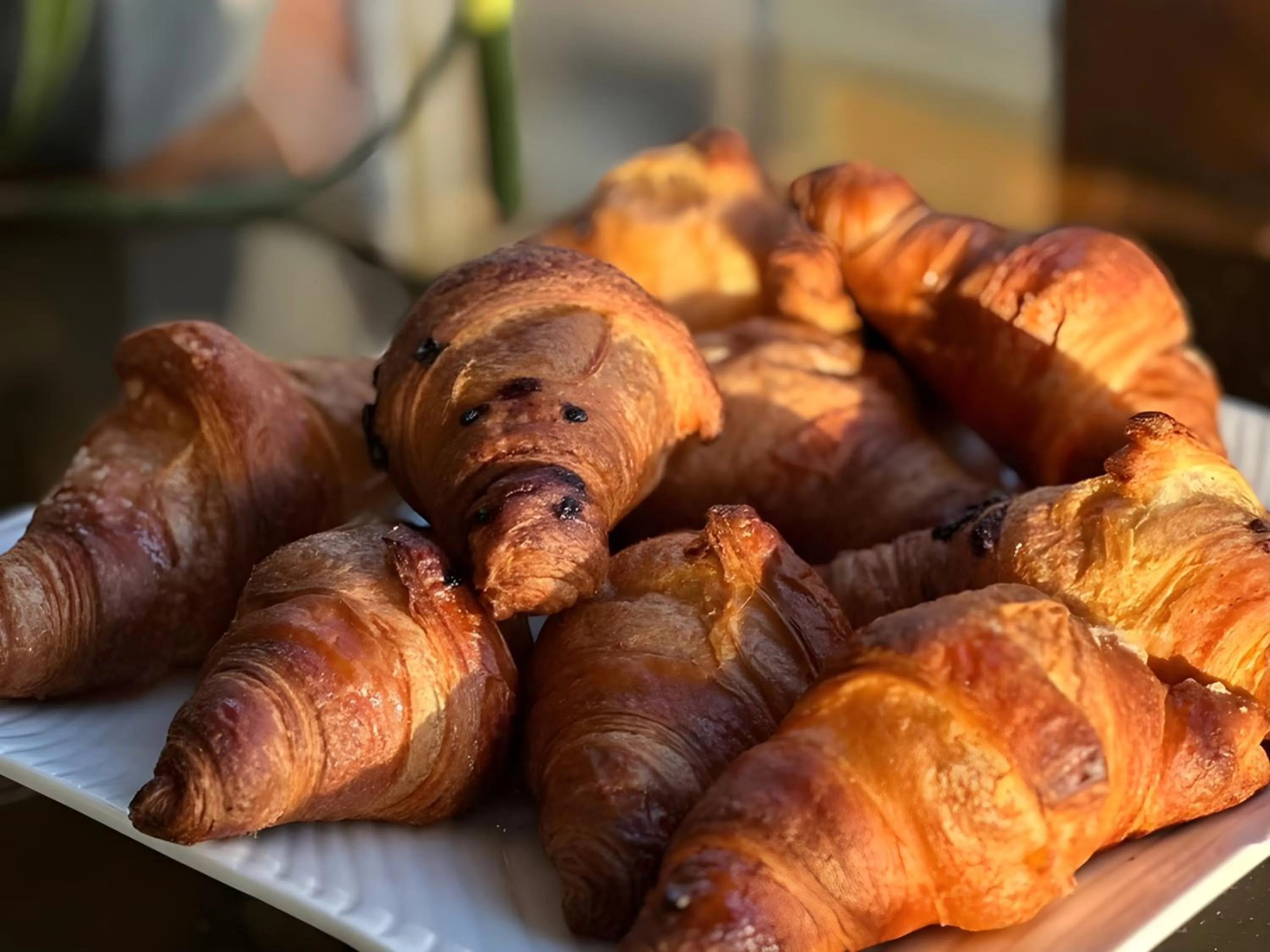 Food and drinks in VENEZIANA Boutique Hotel Superior