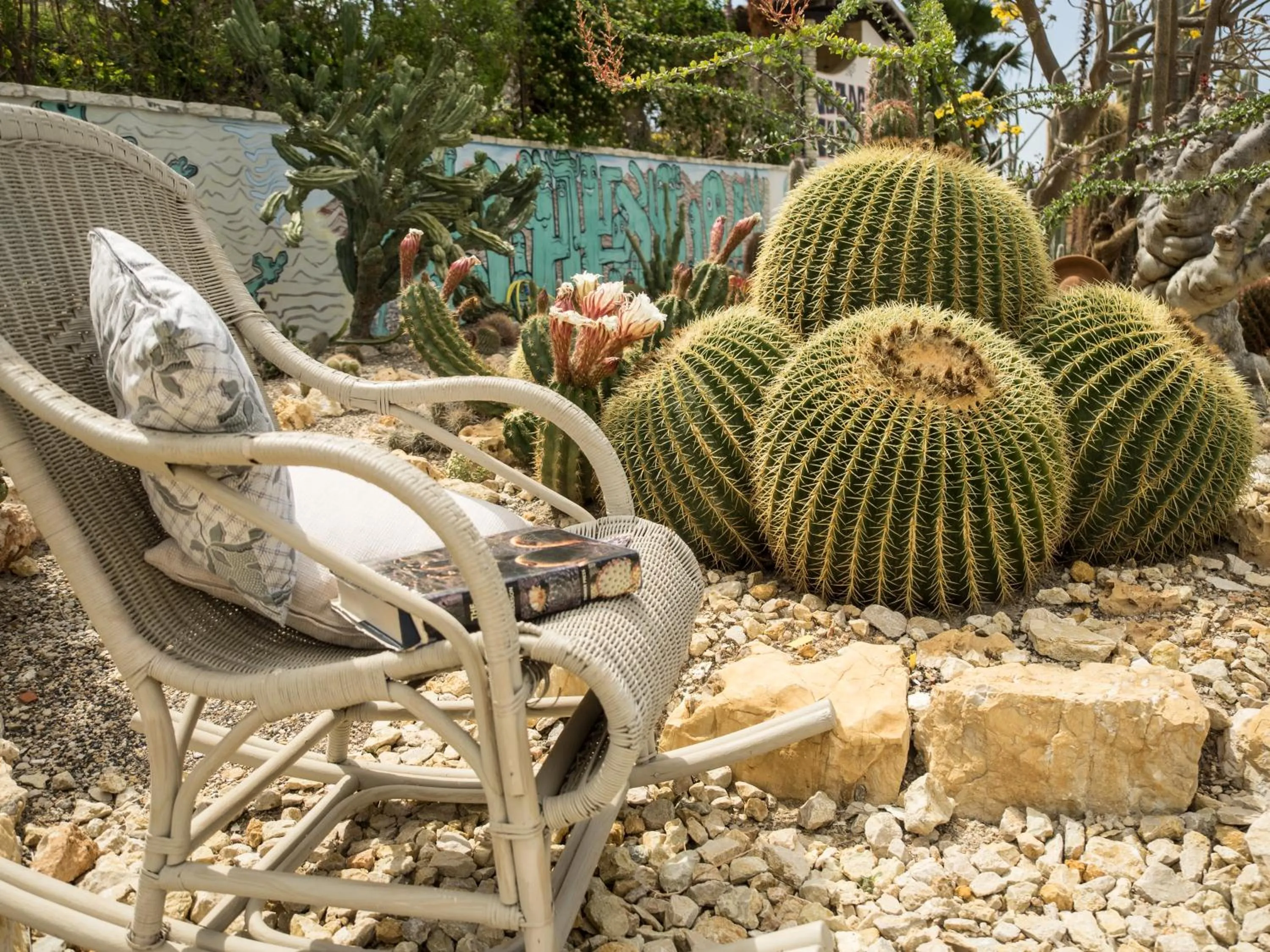 Garden in Relais Garden Cactus B&B