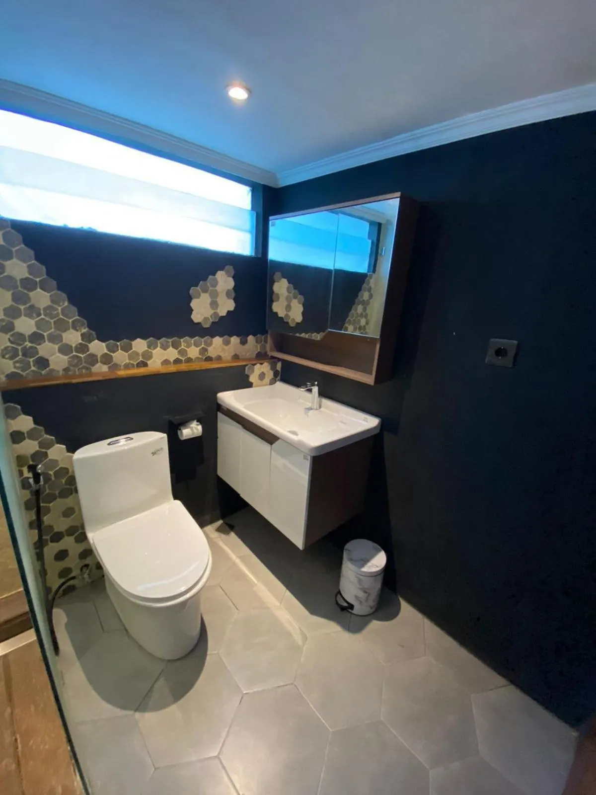 Toilet in Sutji living