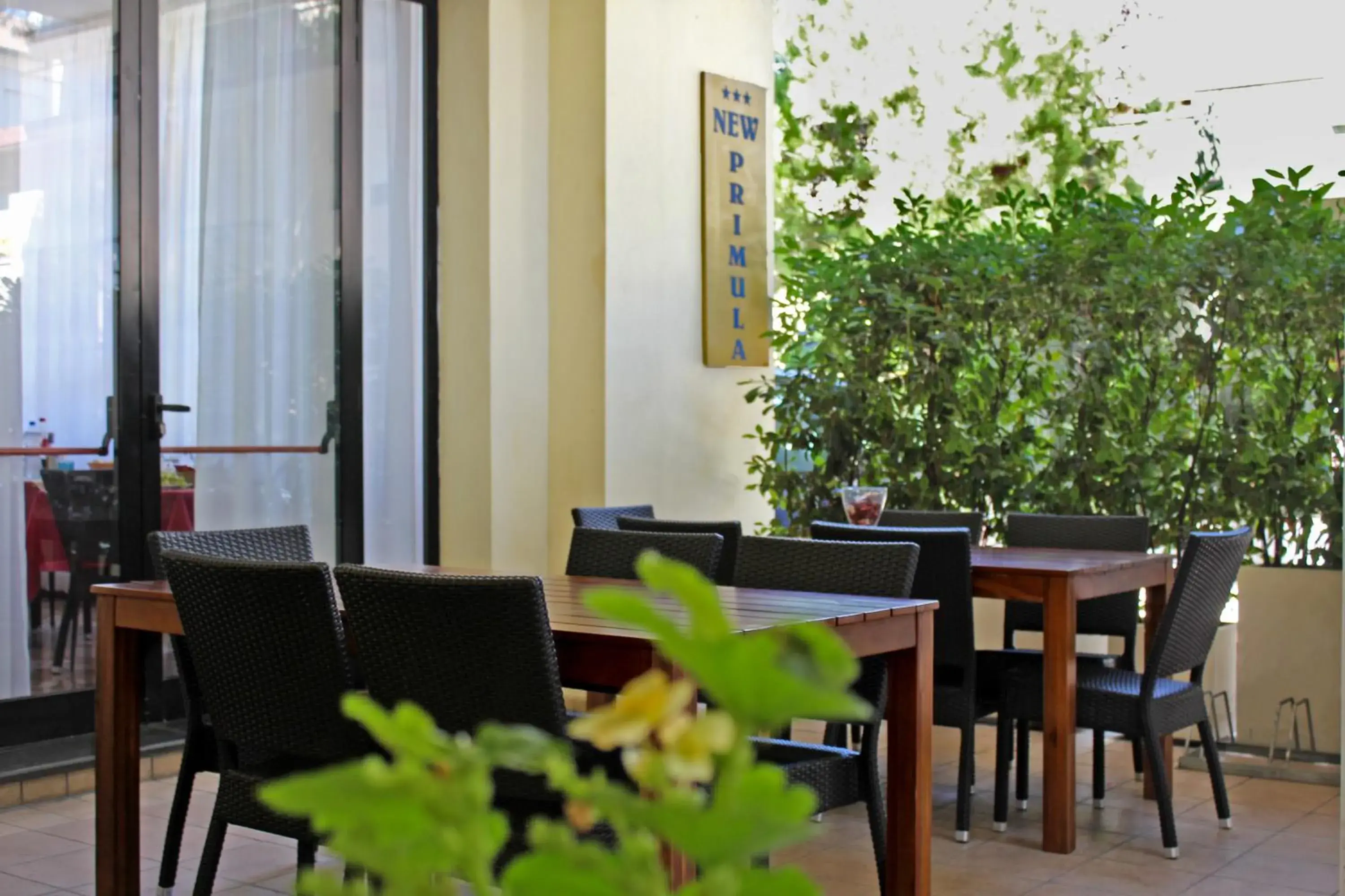 Garden, Restaurant/Places to Eat in Hotel New Primula