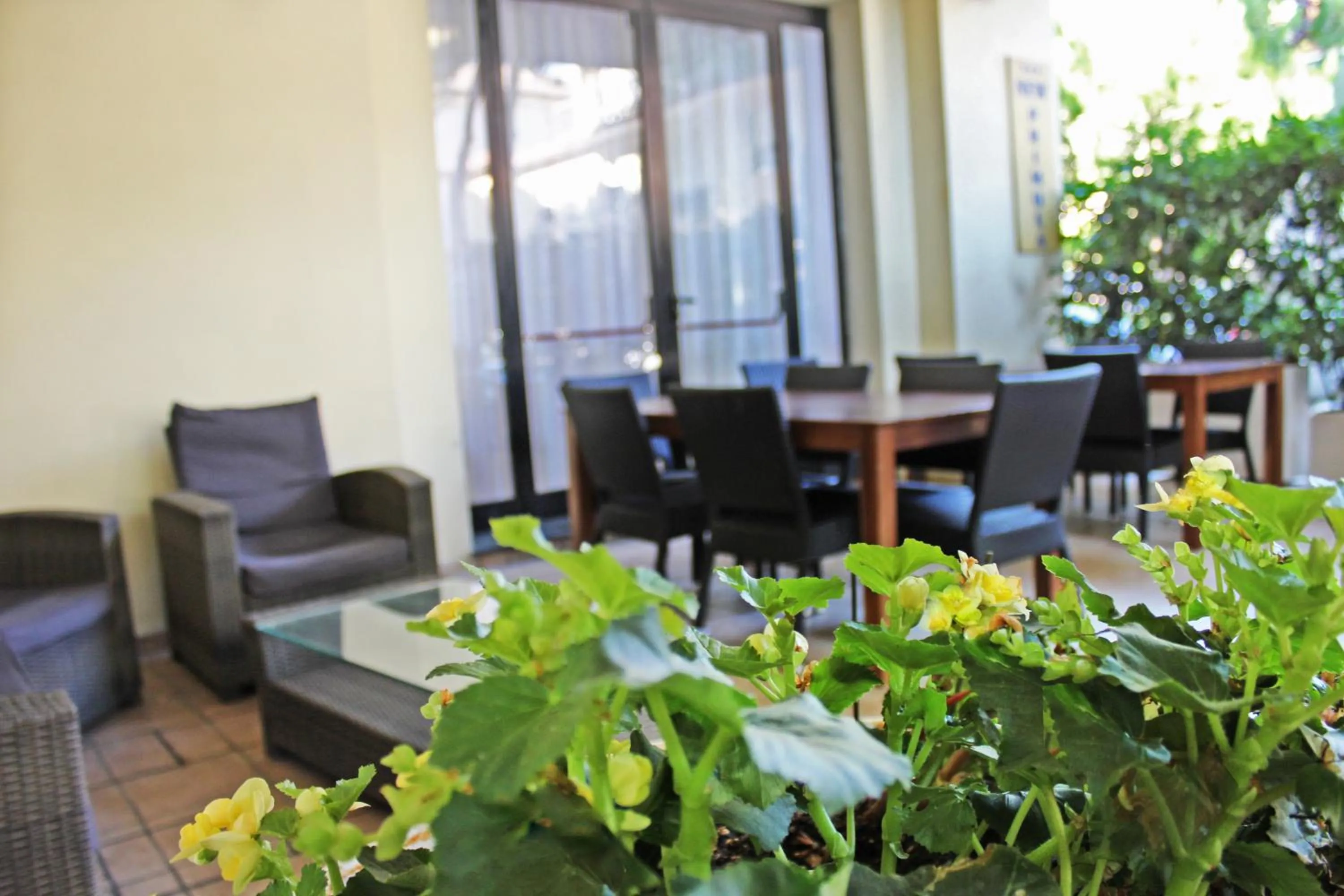 Garden in Hotel New Primula