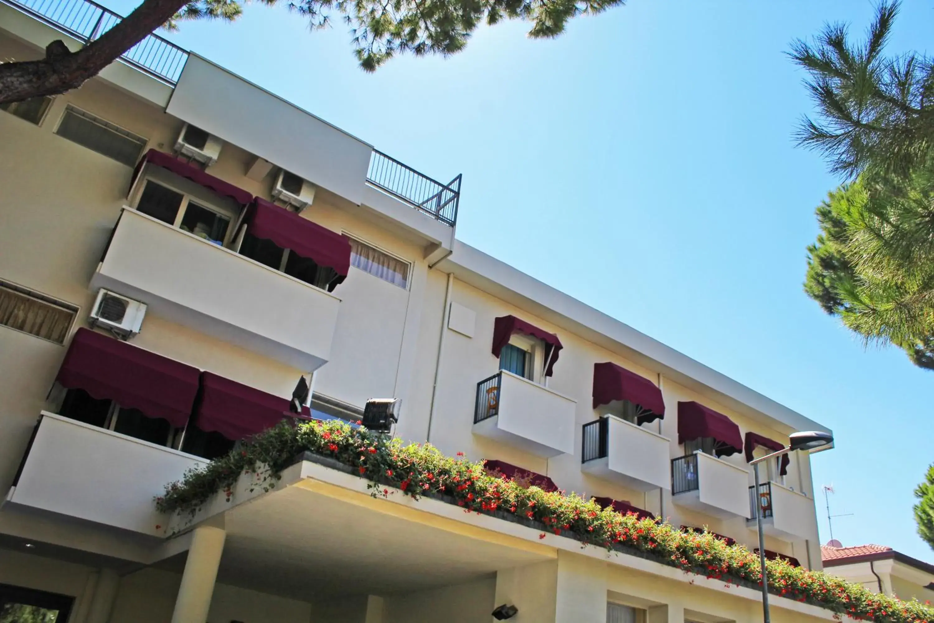 Facade/entrance, Property Building in Hotel New Primula