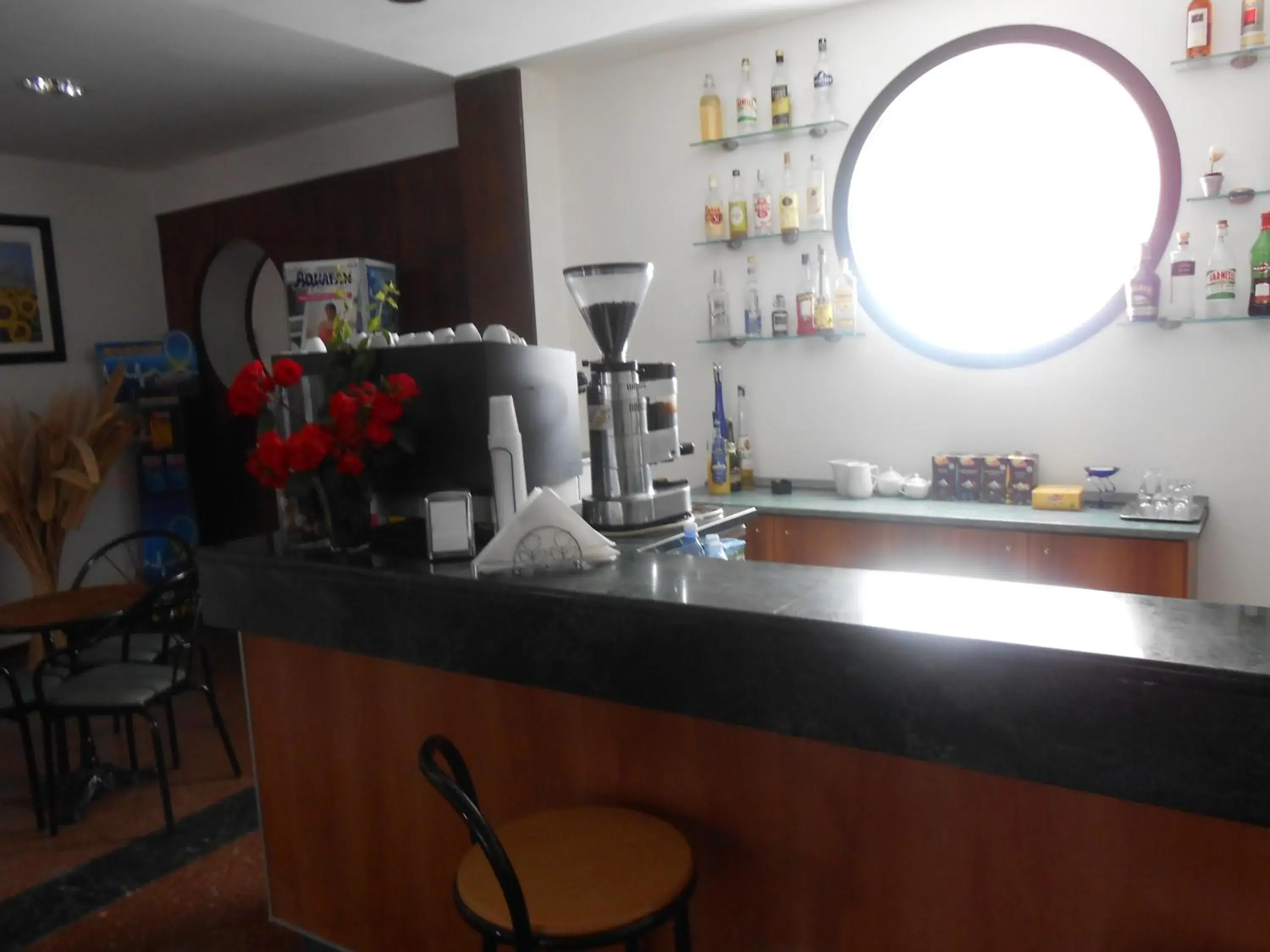 Lounge or bar, Kitchen/Kitchenette in Hotel New Primula