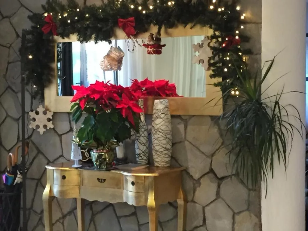 Winter in Hotel New Primula