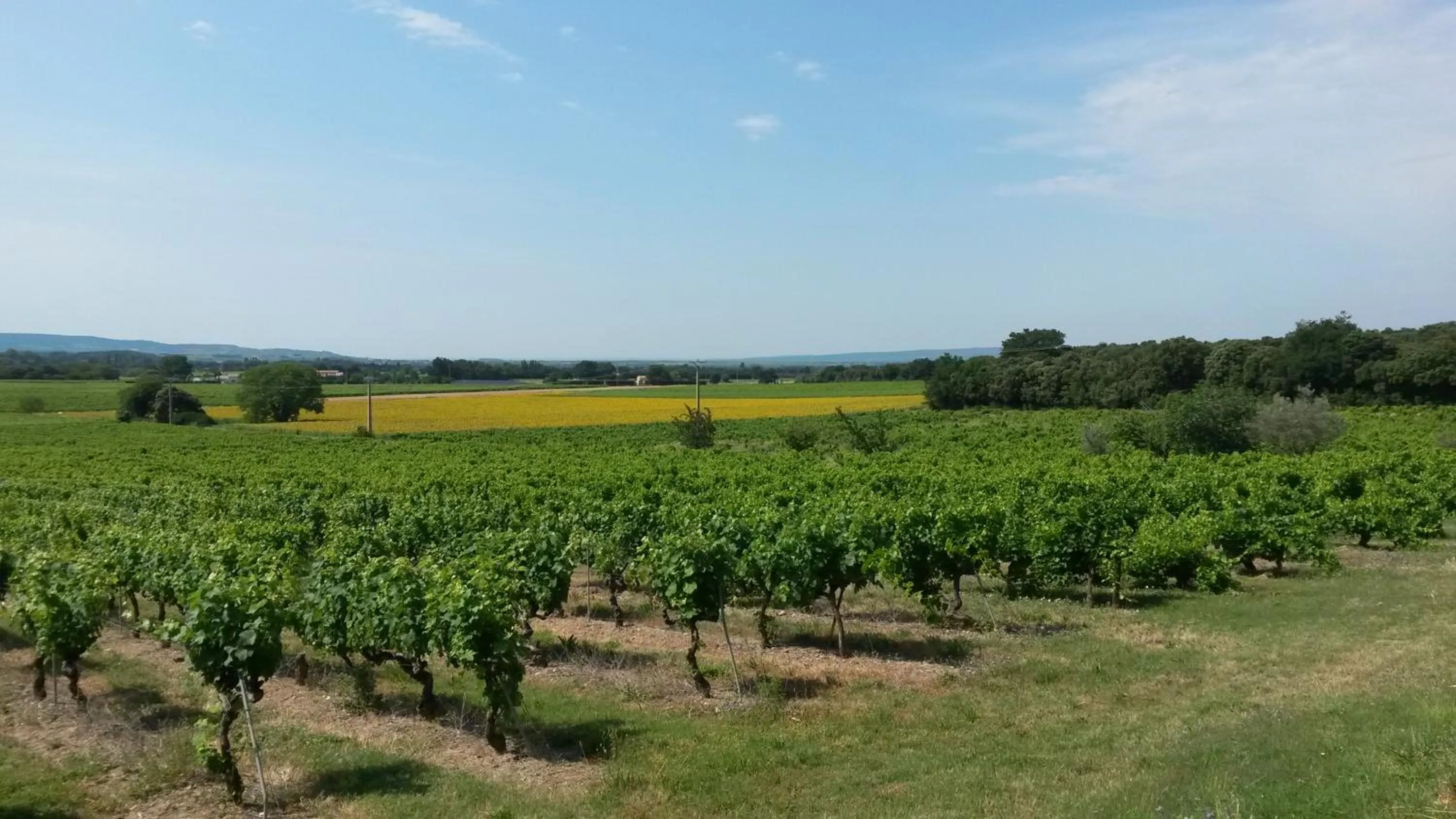 Property building in Ferme de Palumiane - Chambres climatisées