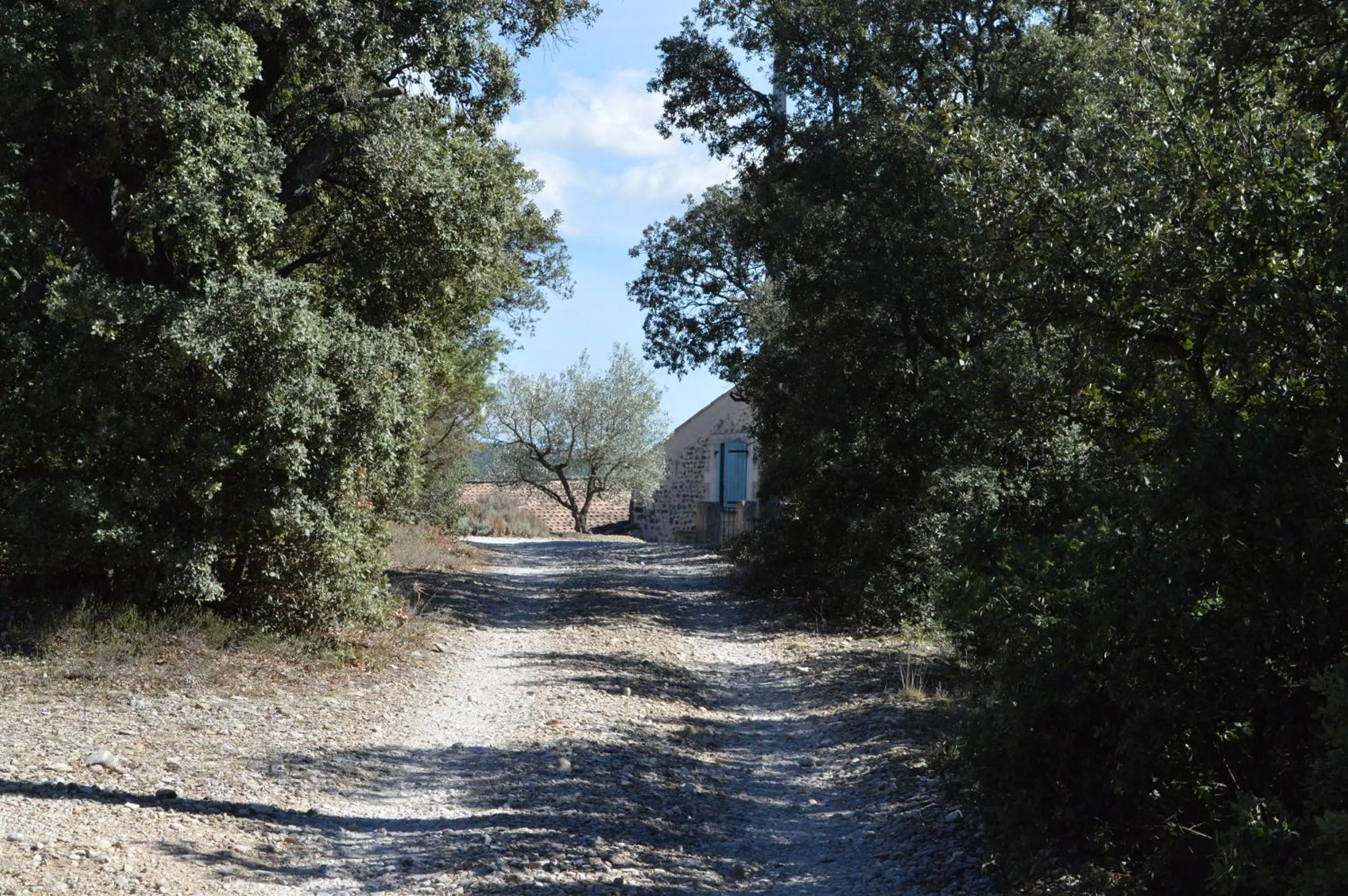 Property building in Ferme de Palumiane - Chambres climatisées