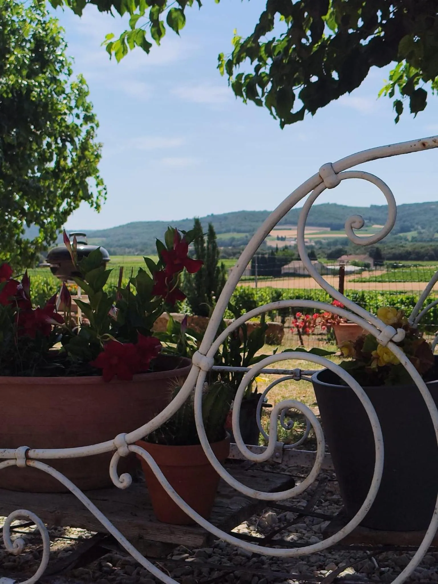Natural landscape in Ferme de Palumiane - Chambres climatisées