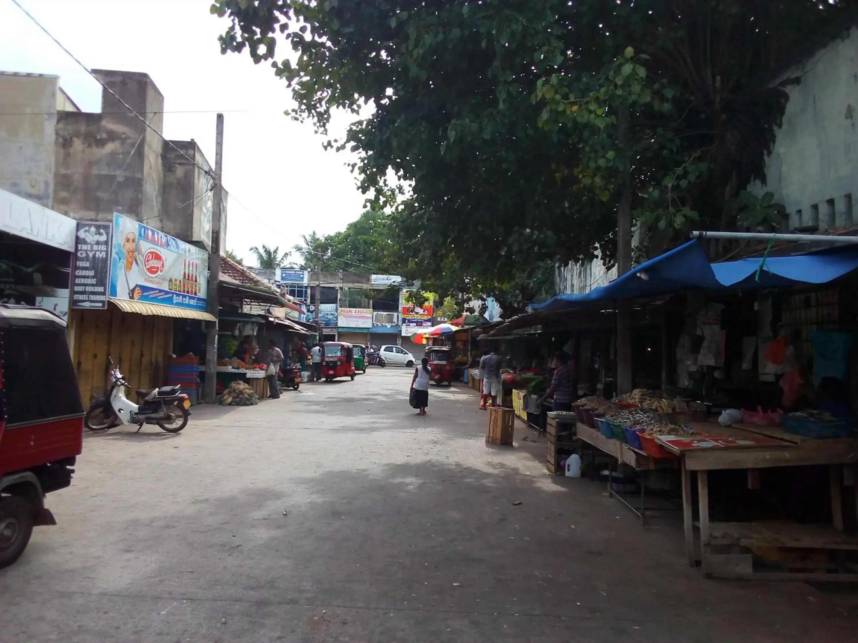 City view in Randi Homestay City view in Randi Homestay