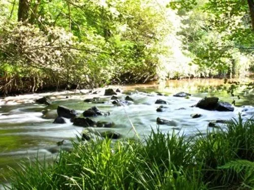 Activities in Blackwell House