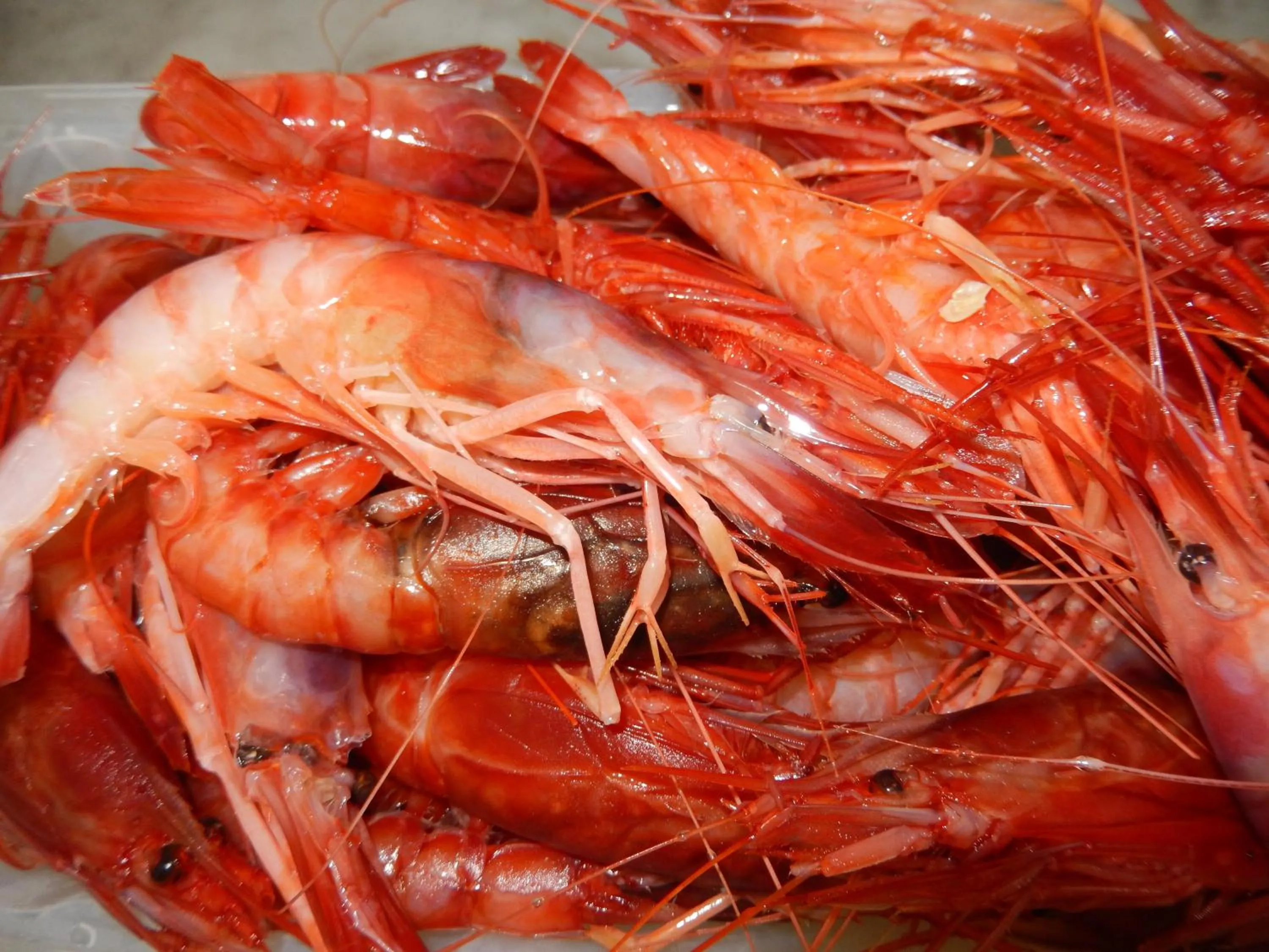 Food in Hotel-Pensione 4 Stagioni