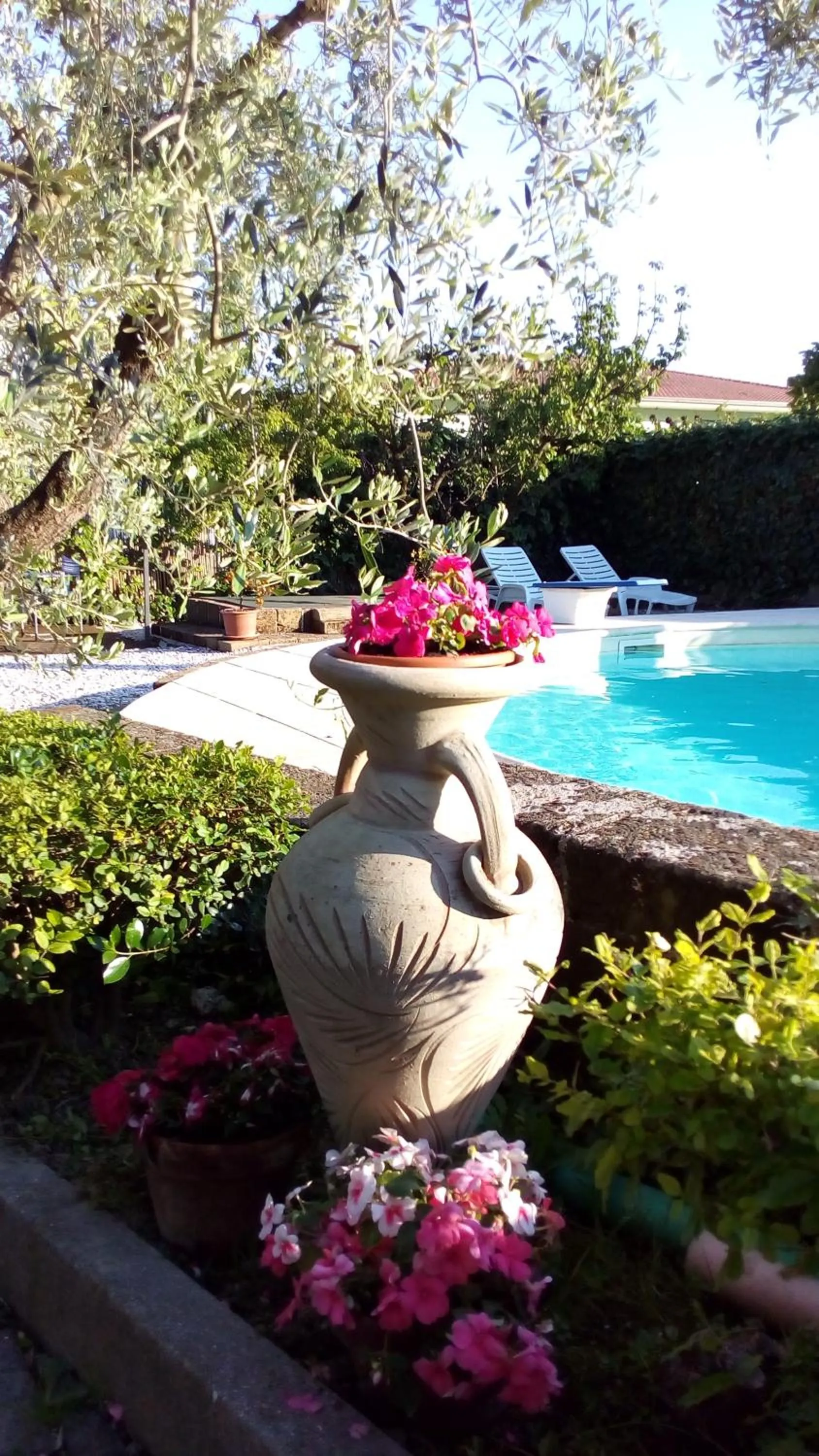 Pool view in Bigotti