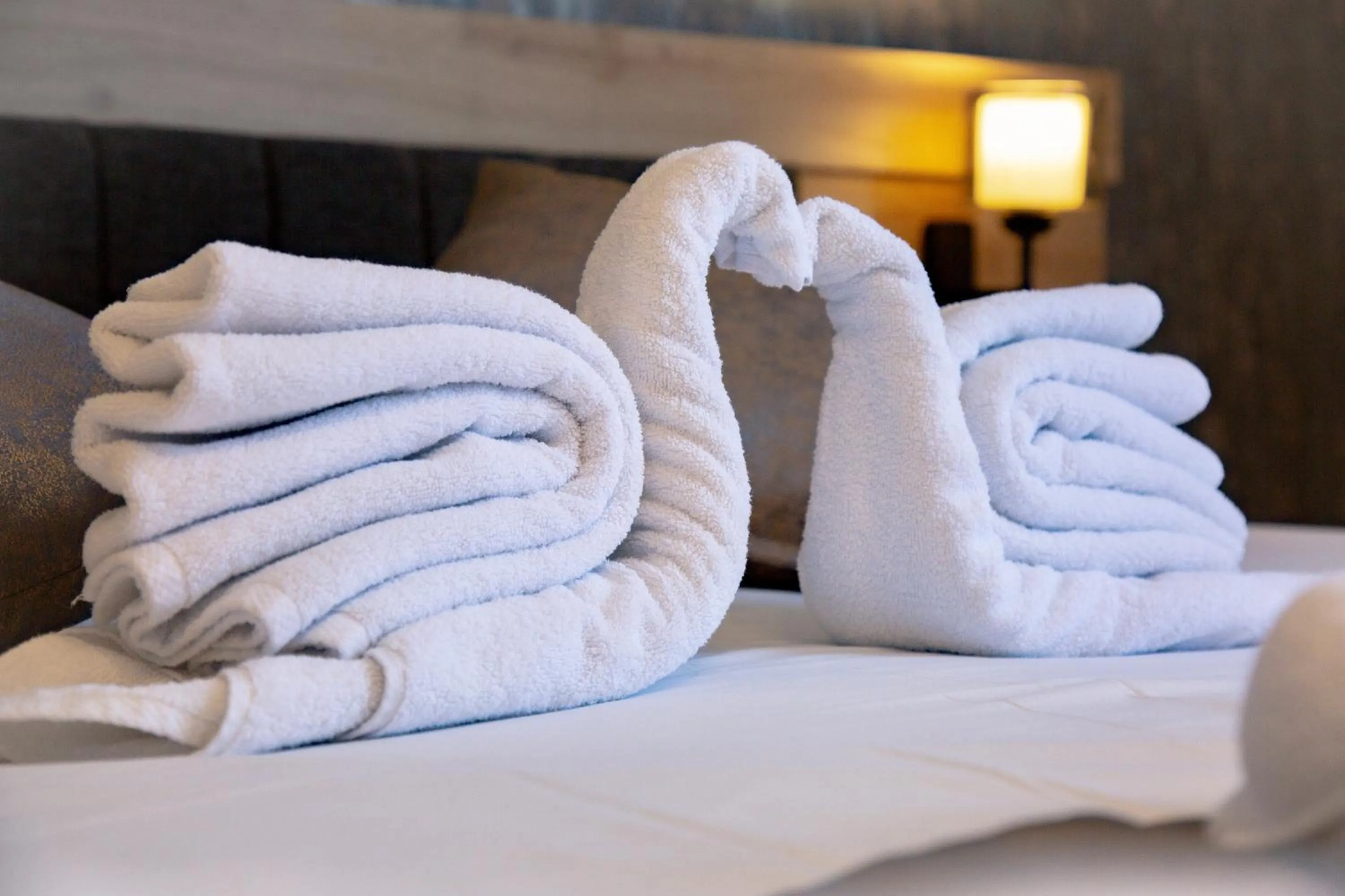 Bed in Bloomtalya Hotel