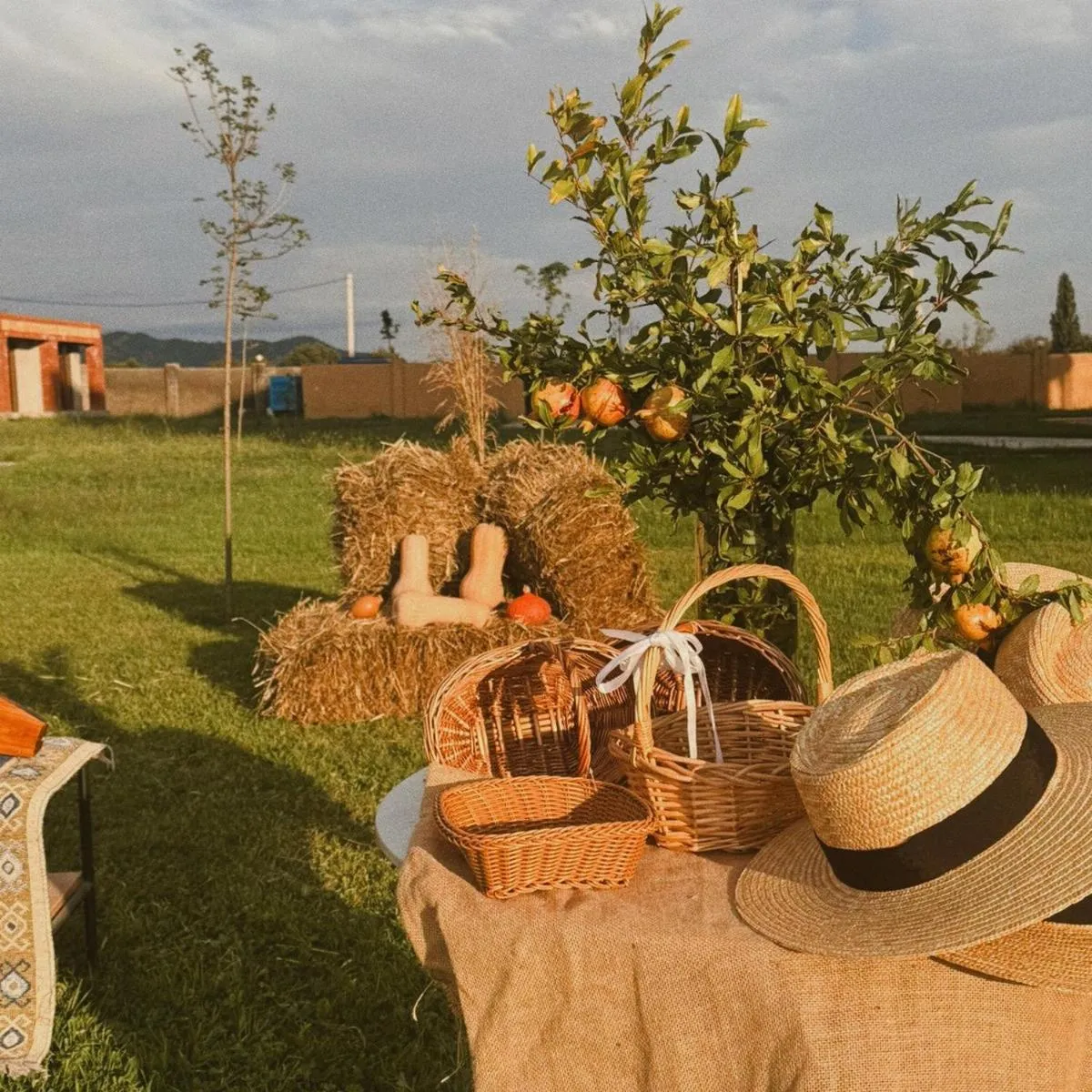 Natural landscape in Burki Castle & Cellar