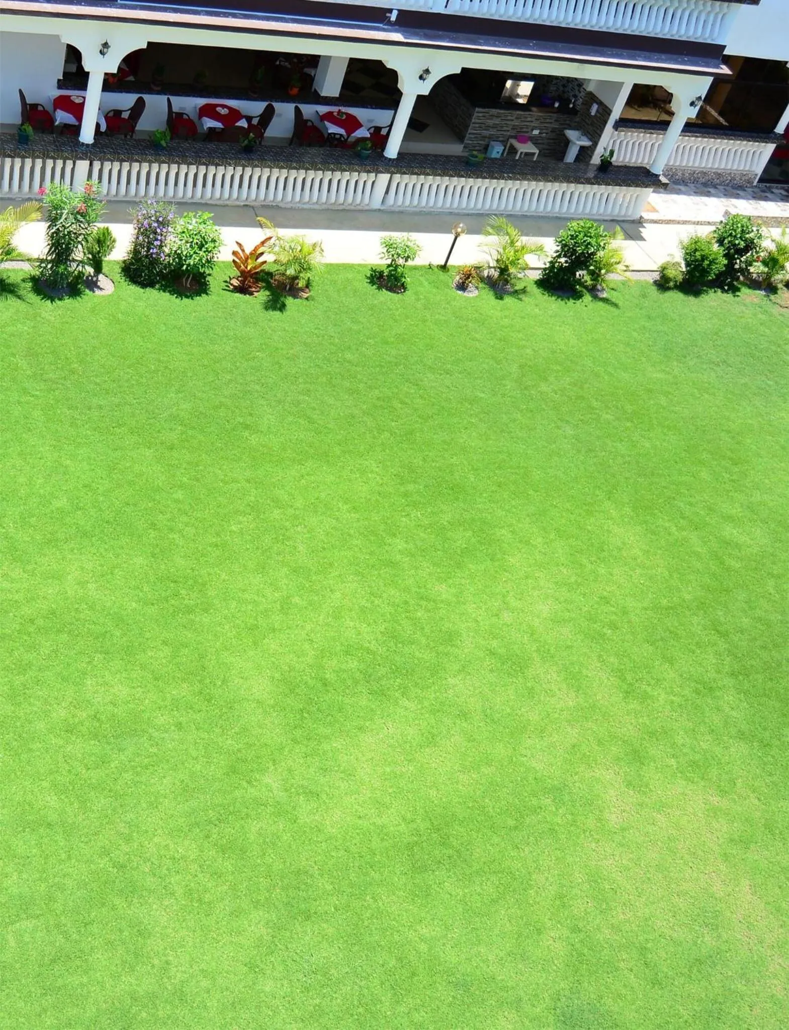 Natural landscape in White Peacock Resort Mtwapa