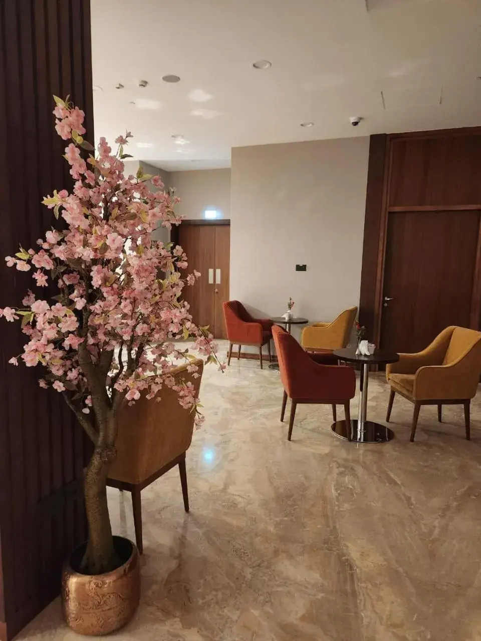 Restaurant/places to eat in Kyriad Hotel Salalah Restaurant/places to eat in Kyriad Hotel Salalah